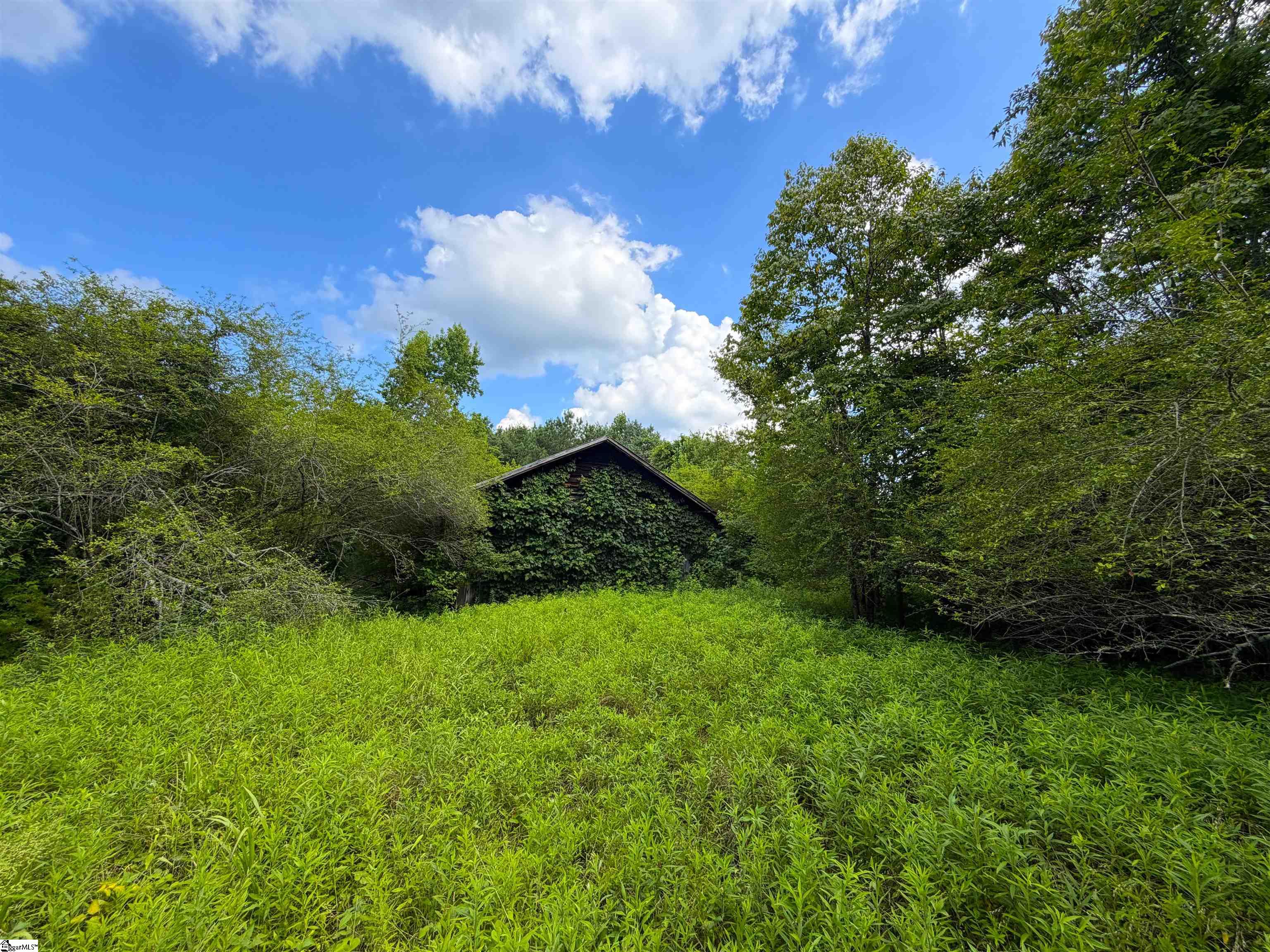 3573 Moorefield Memorial Highway Pickens, SC 29671