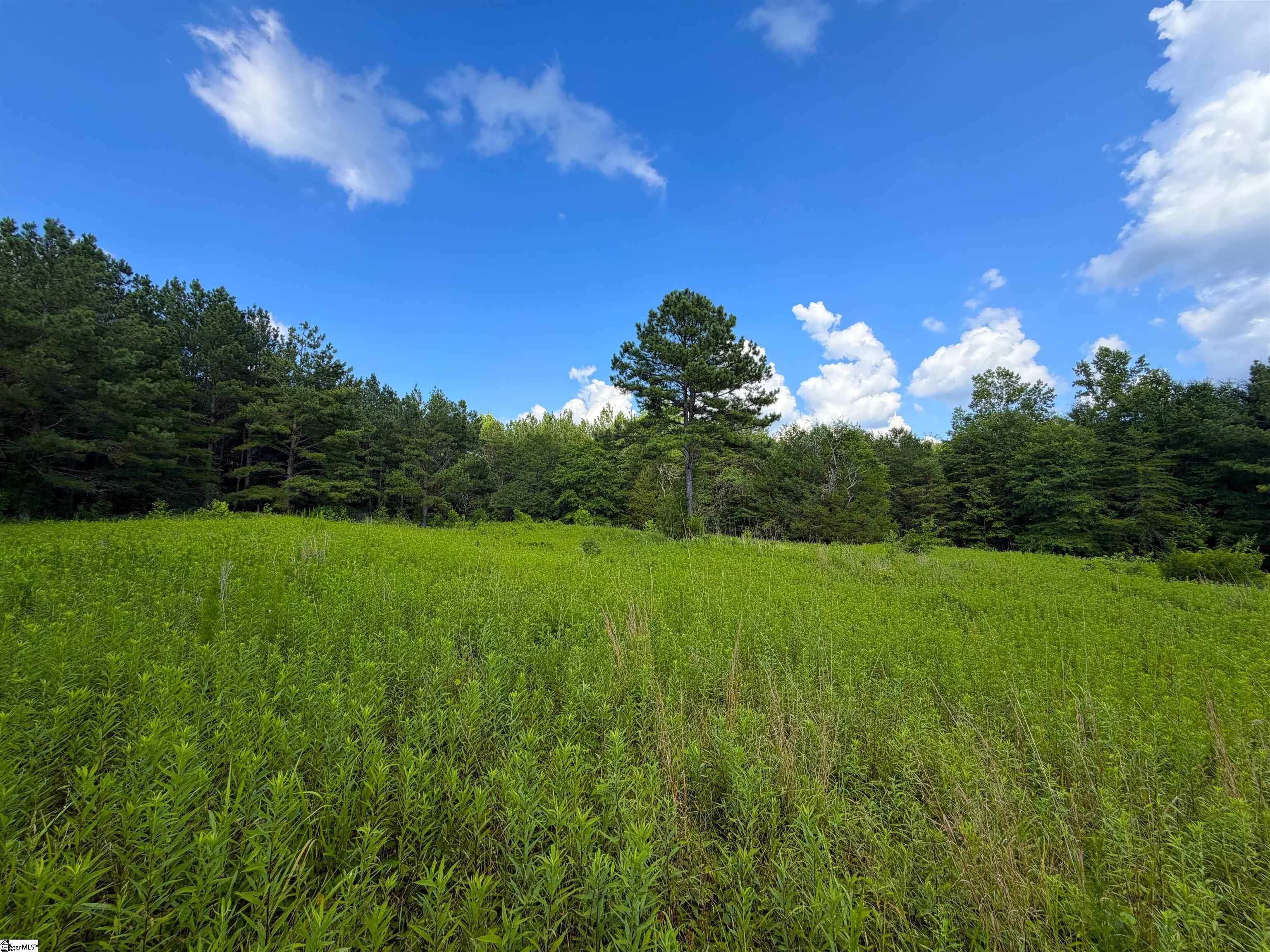 3573 Moorefield Memorial Highway Pickens, SC 29671