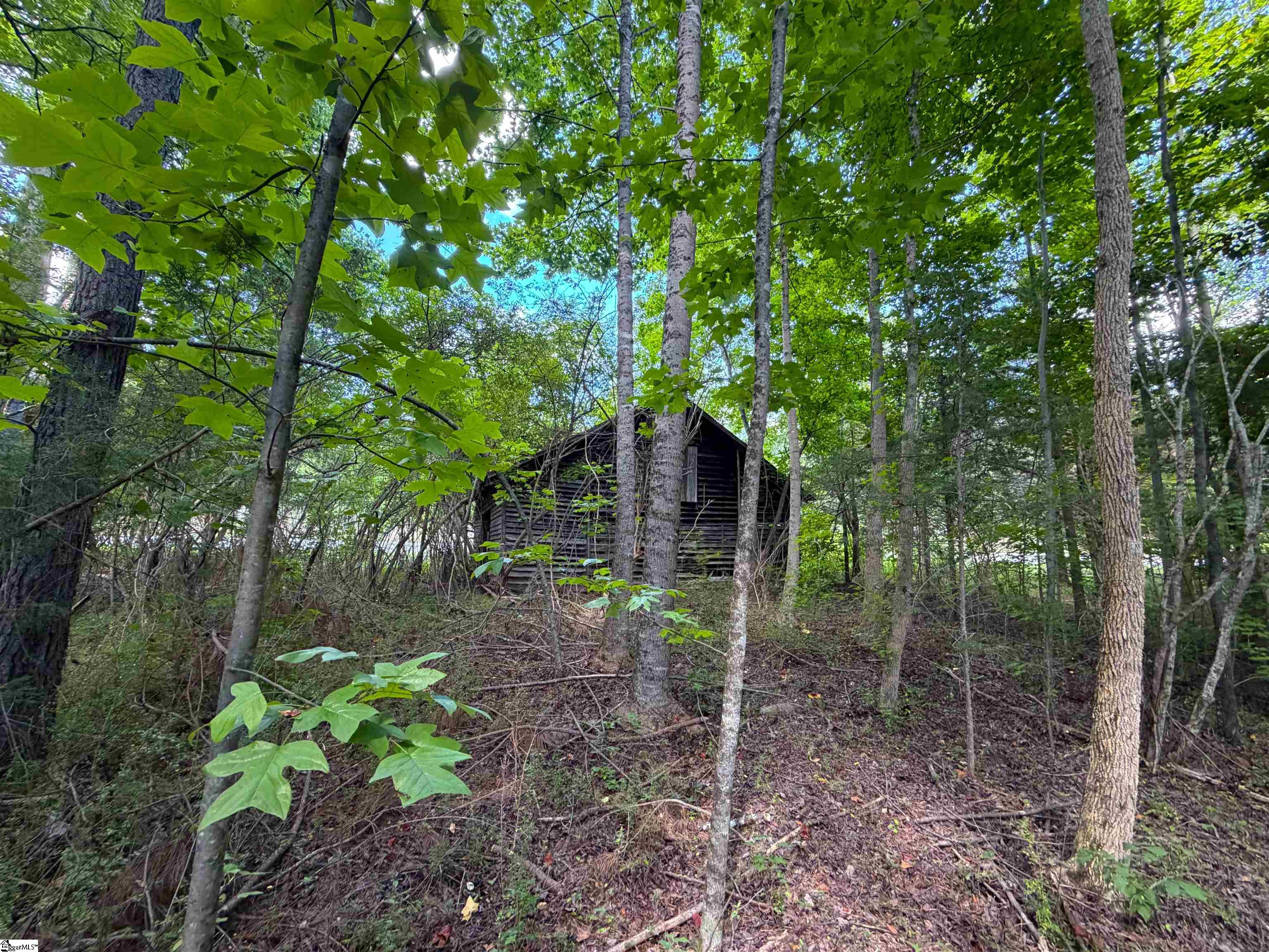3573 Moorefield Memorial Highway Pickens, SC 29671