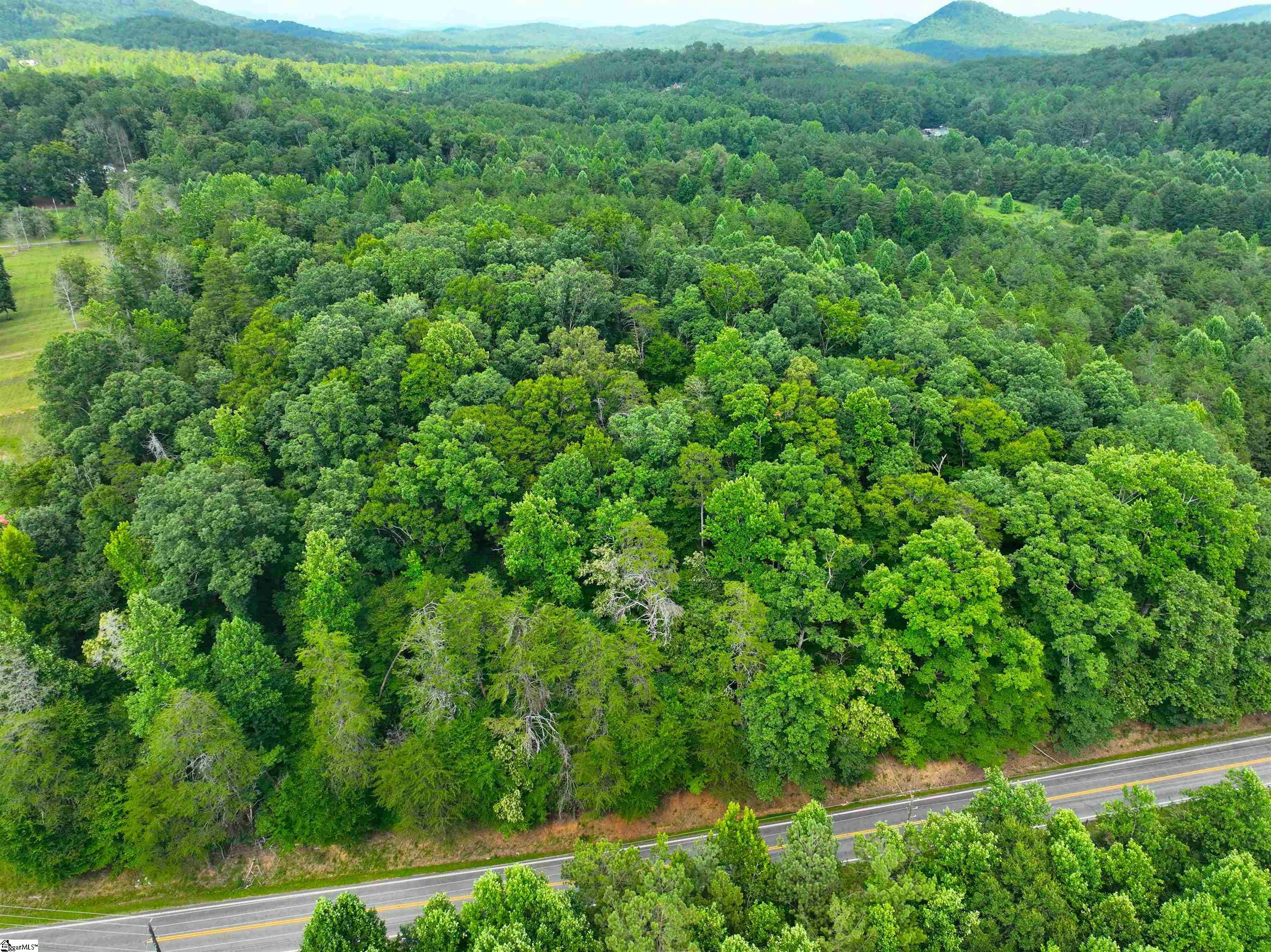 3573 Moorefield Memorial Highway Pickens, SC 29671