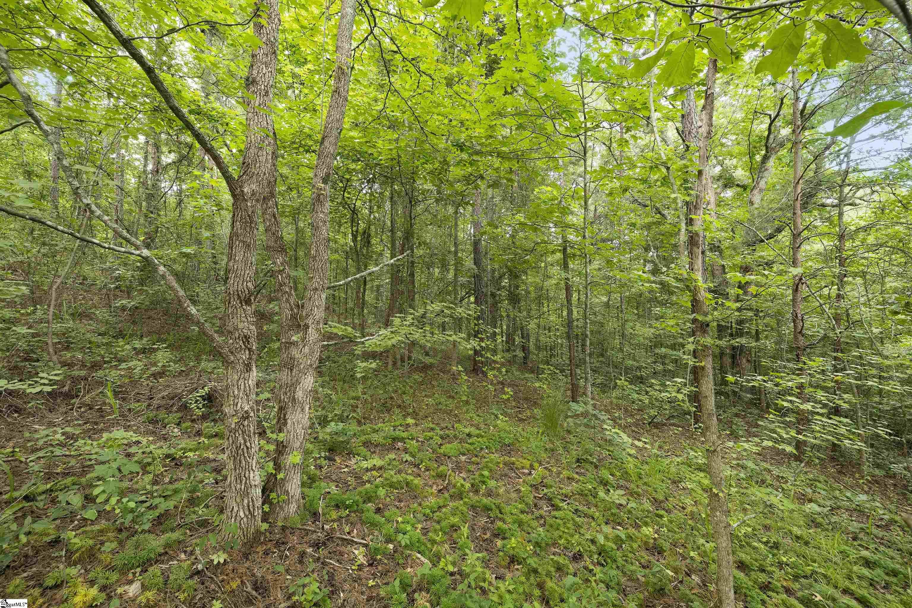 00 Foxboro Road Travelers Rest, SC 29690-8580