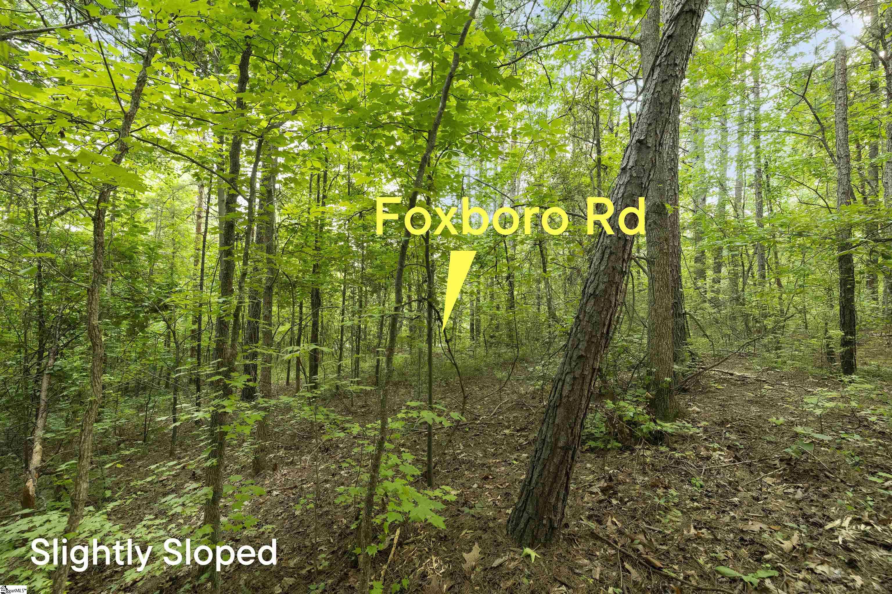 00 Foxboro Road Travelers Rest, SC 29690-8580