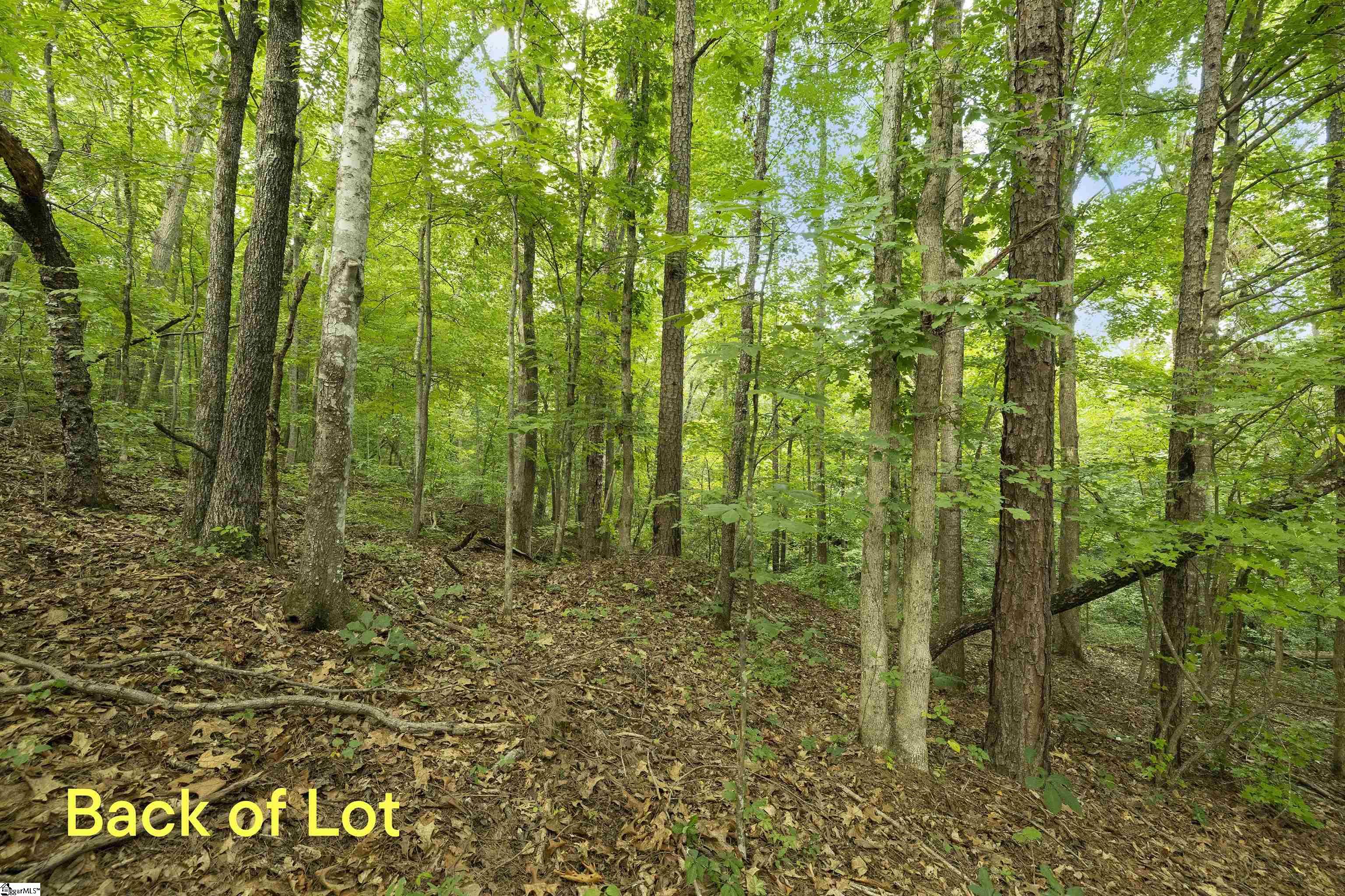00 Foxboro Road Travelers Rest, SC 29690-8580