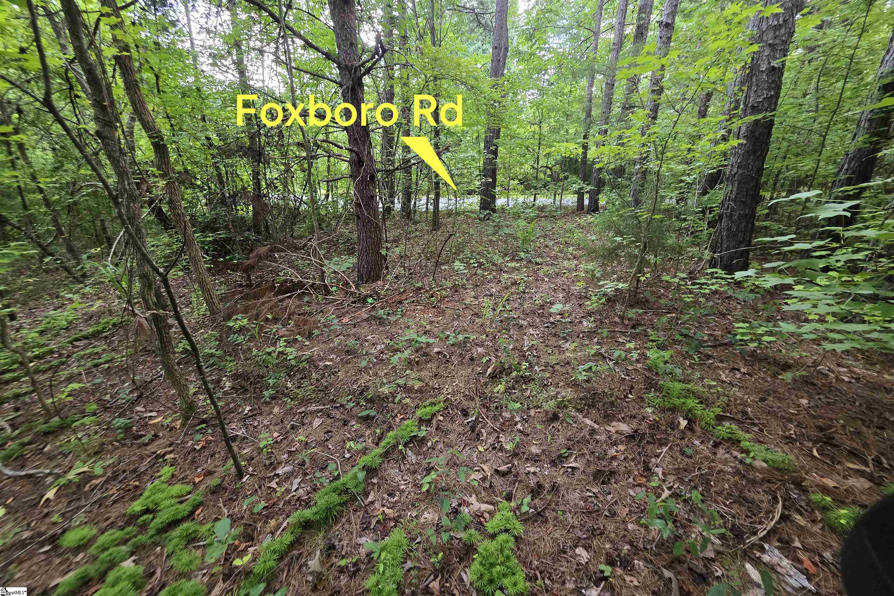 00 Foxboro Road Travelers Rest, SC 29690-8580