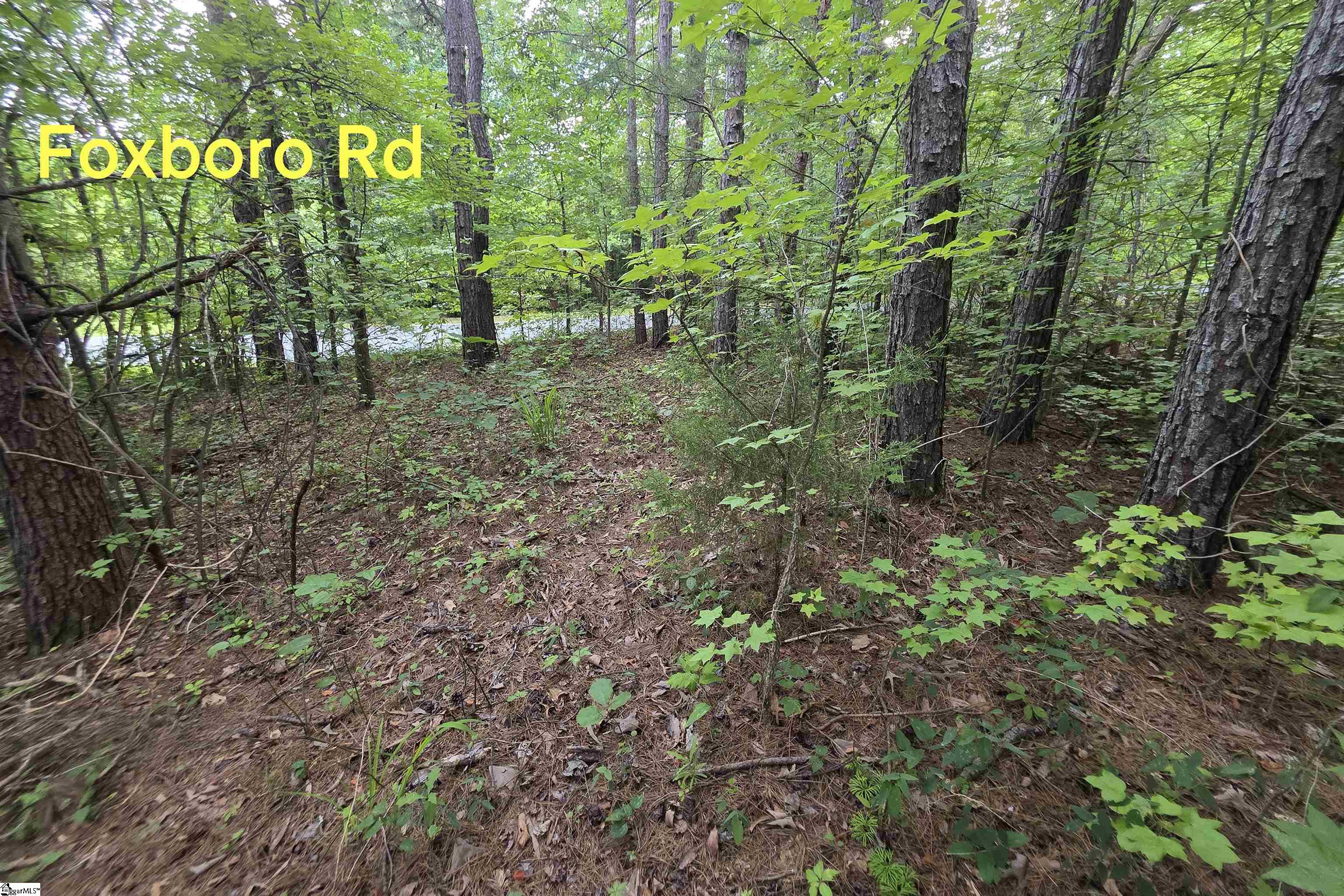 00 Foxboro Road Travelers Rest, SC 29690-8580