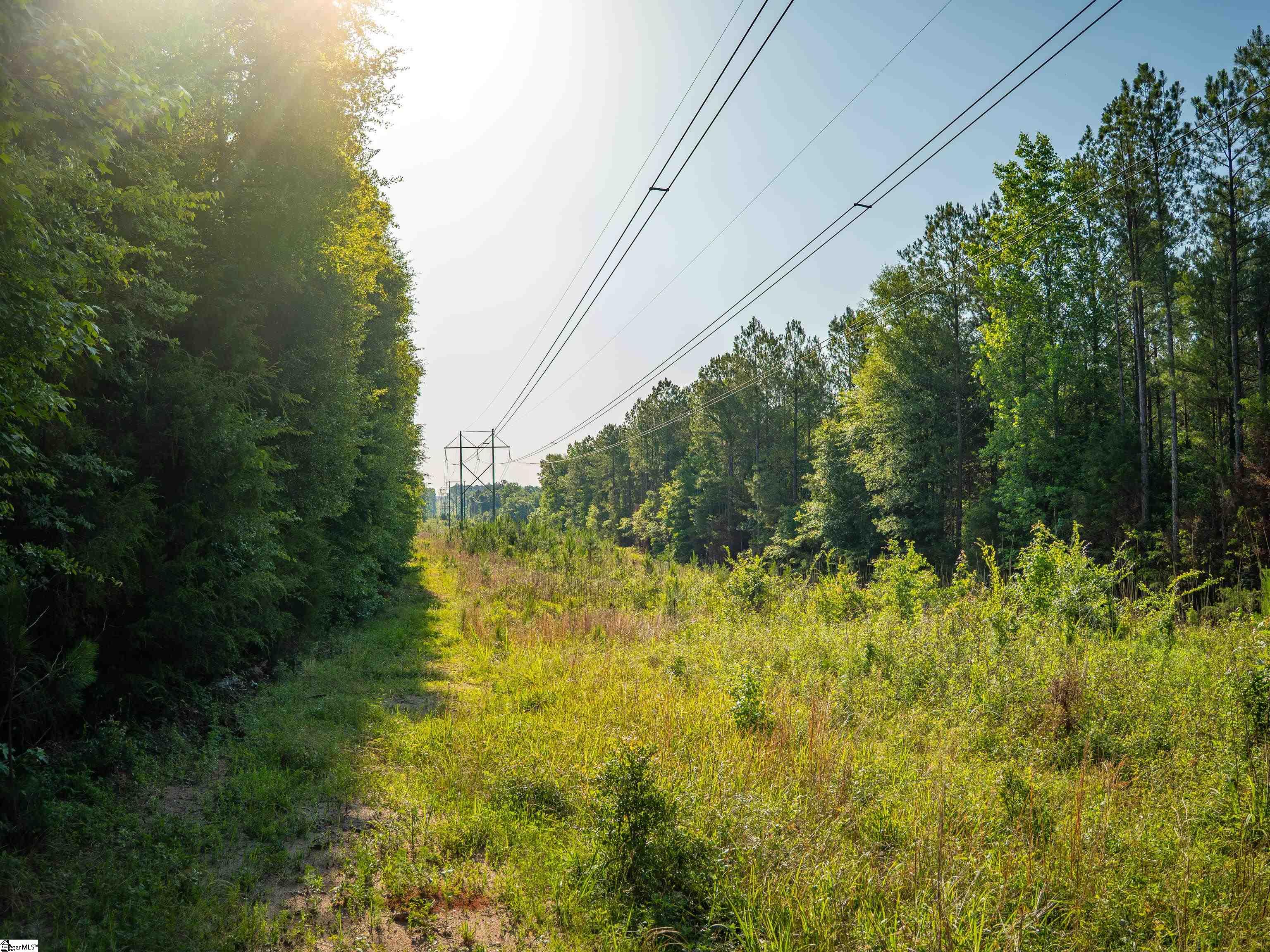 1332 Arnold Lane Waterloo, SC 29384