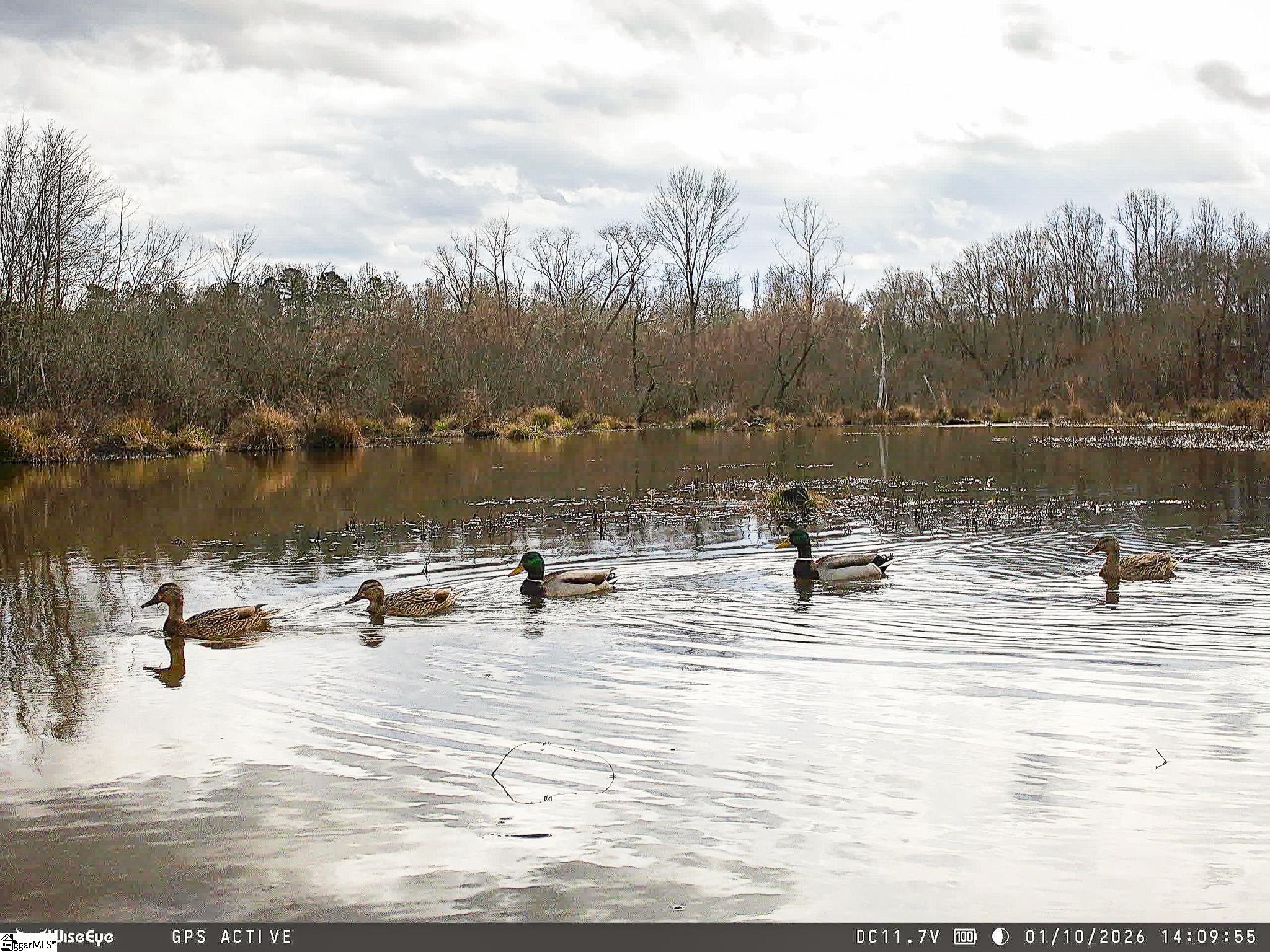 3rd image of 1332 Arnold Ln, Waterloo, SC 29384 | MLS# 1597067
