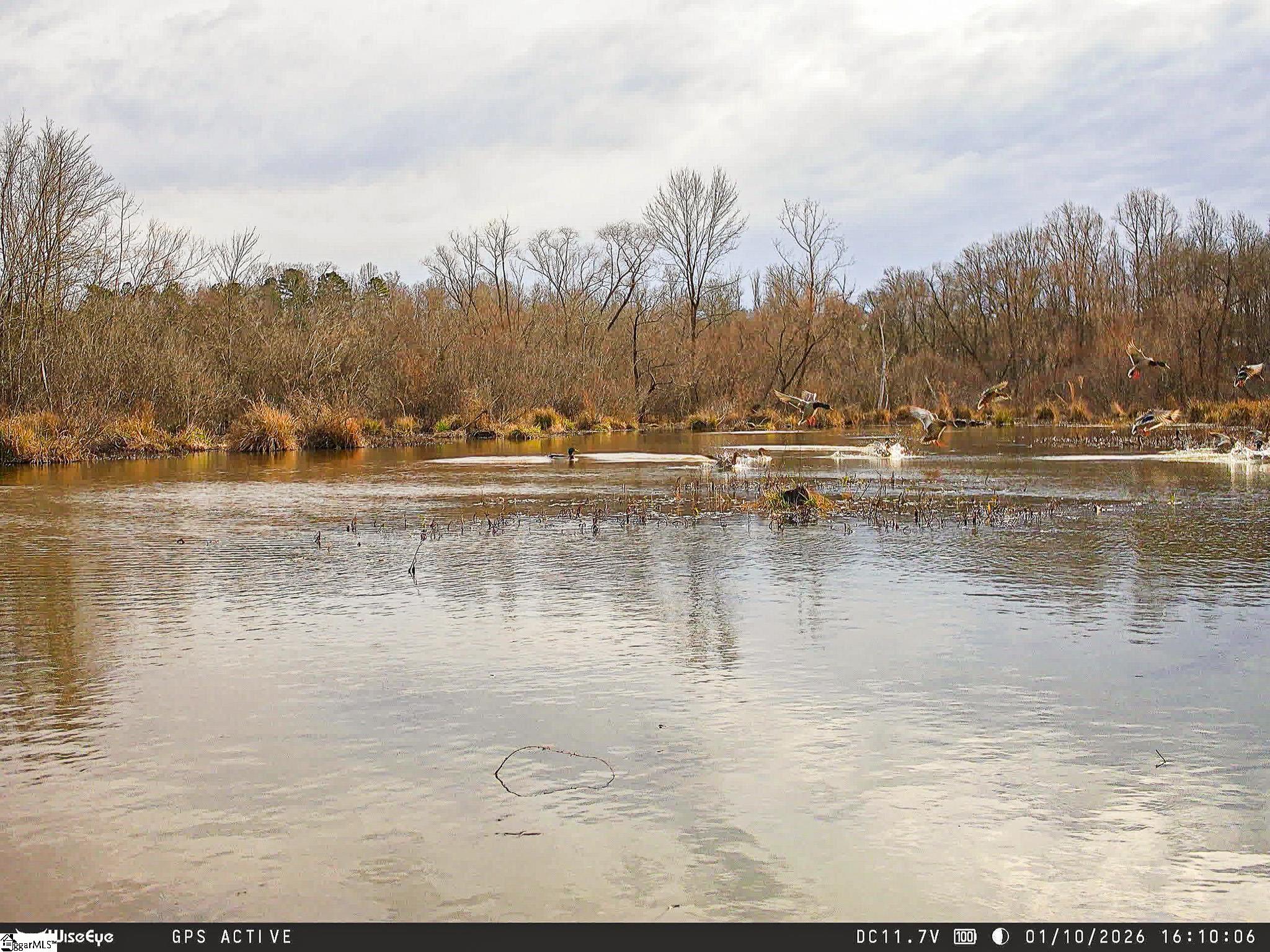 5th image of 1332 Arnold Ln, Waterloo, SC 29384 | MLS# 1597067