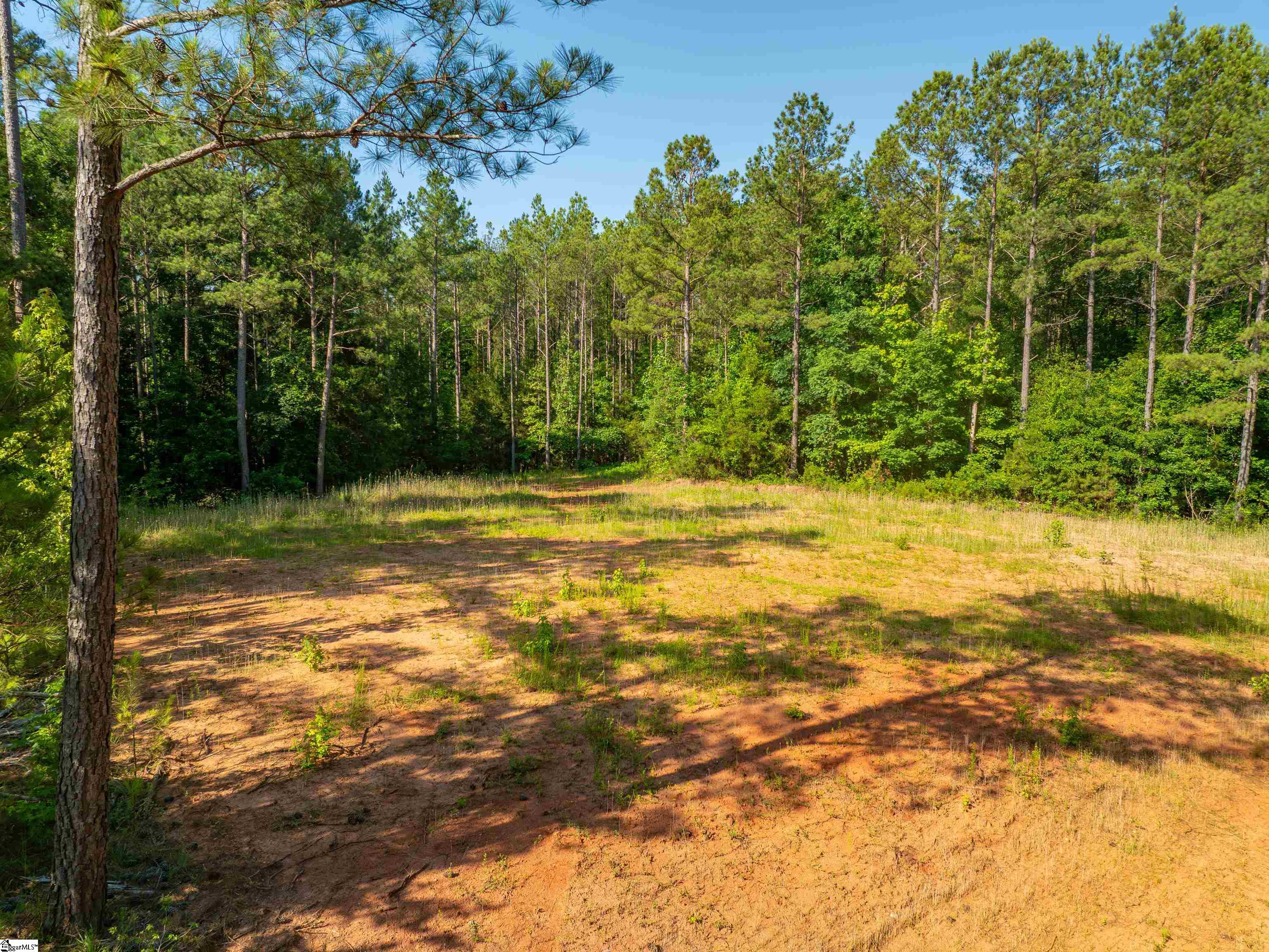 43rd image of 1332 Arnold Ln, Waterloo, SC 29384 | MLS# 1597067