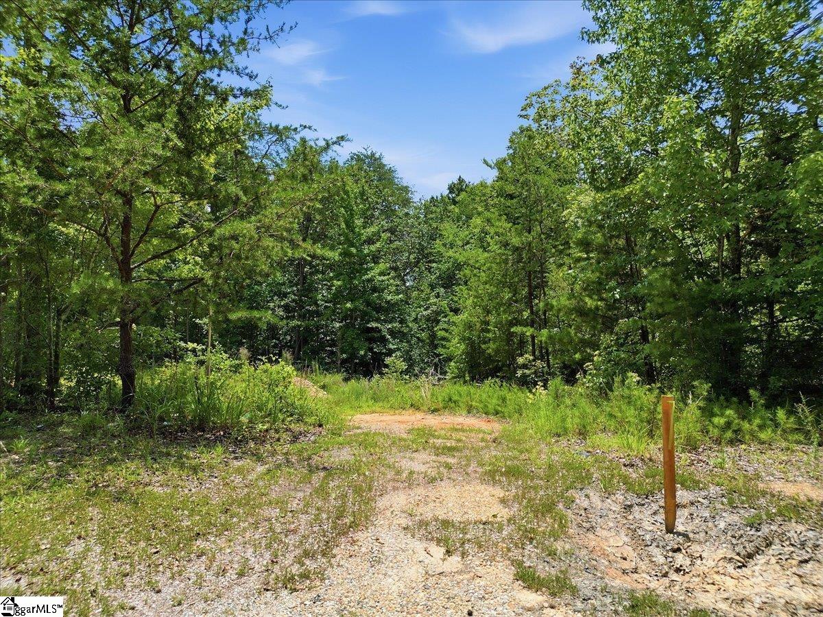 00 Peacefull Valley Road Spartanburg, SC 29302
