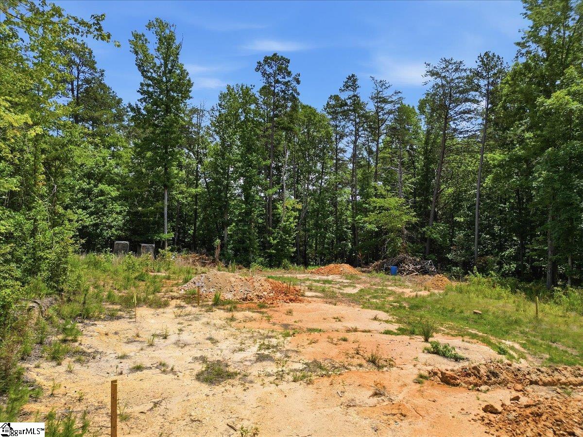 00 Peacefull Valley Road Spartanburg, SC 29302
