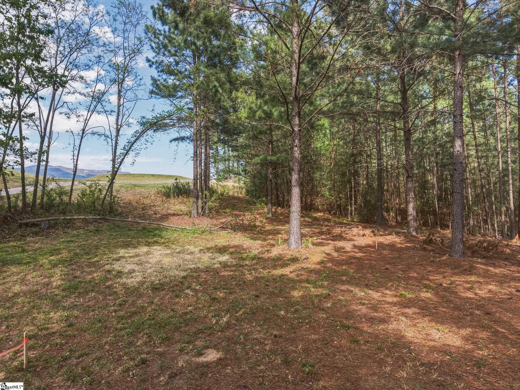 5 Club Cart Road Travelers Rest, SC 29690
