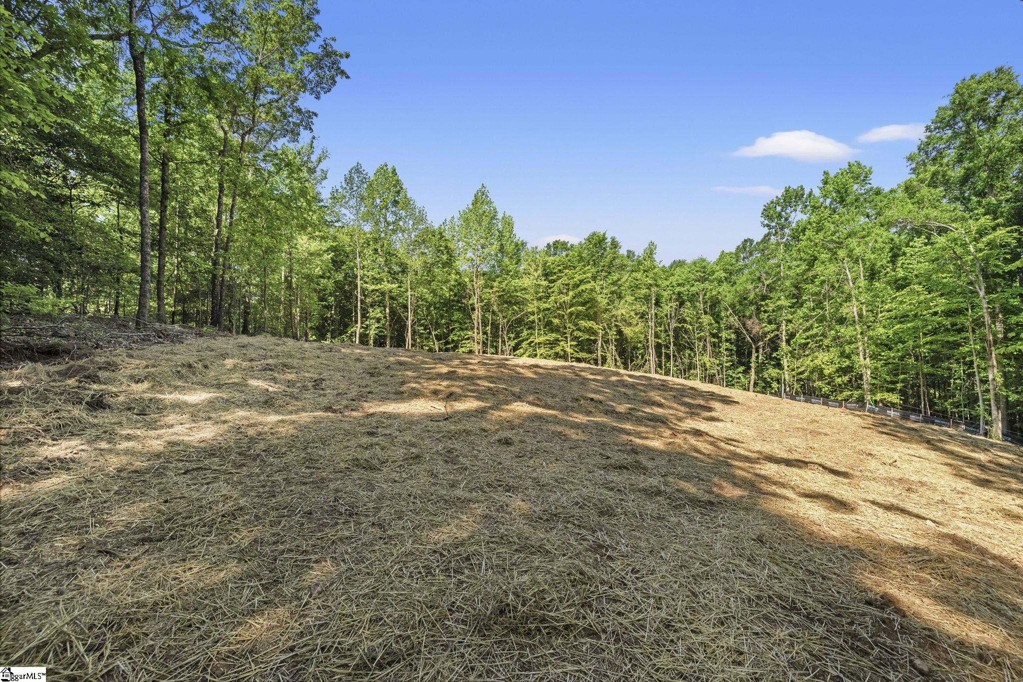 110 N Silver Lake Drive Taylors, SC 29687