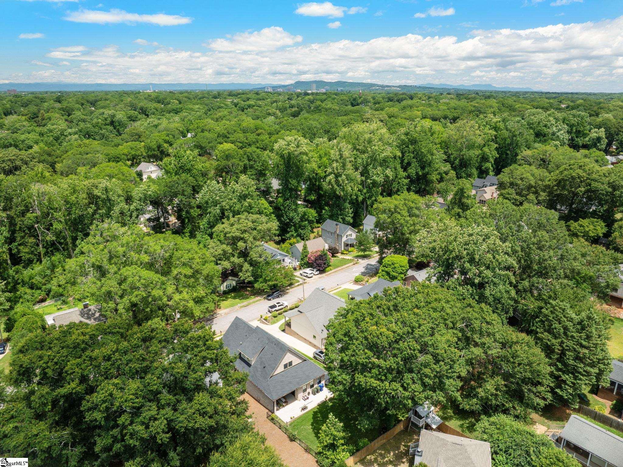 229 Cammer Avenue Greenville, SC 29605
