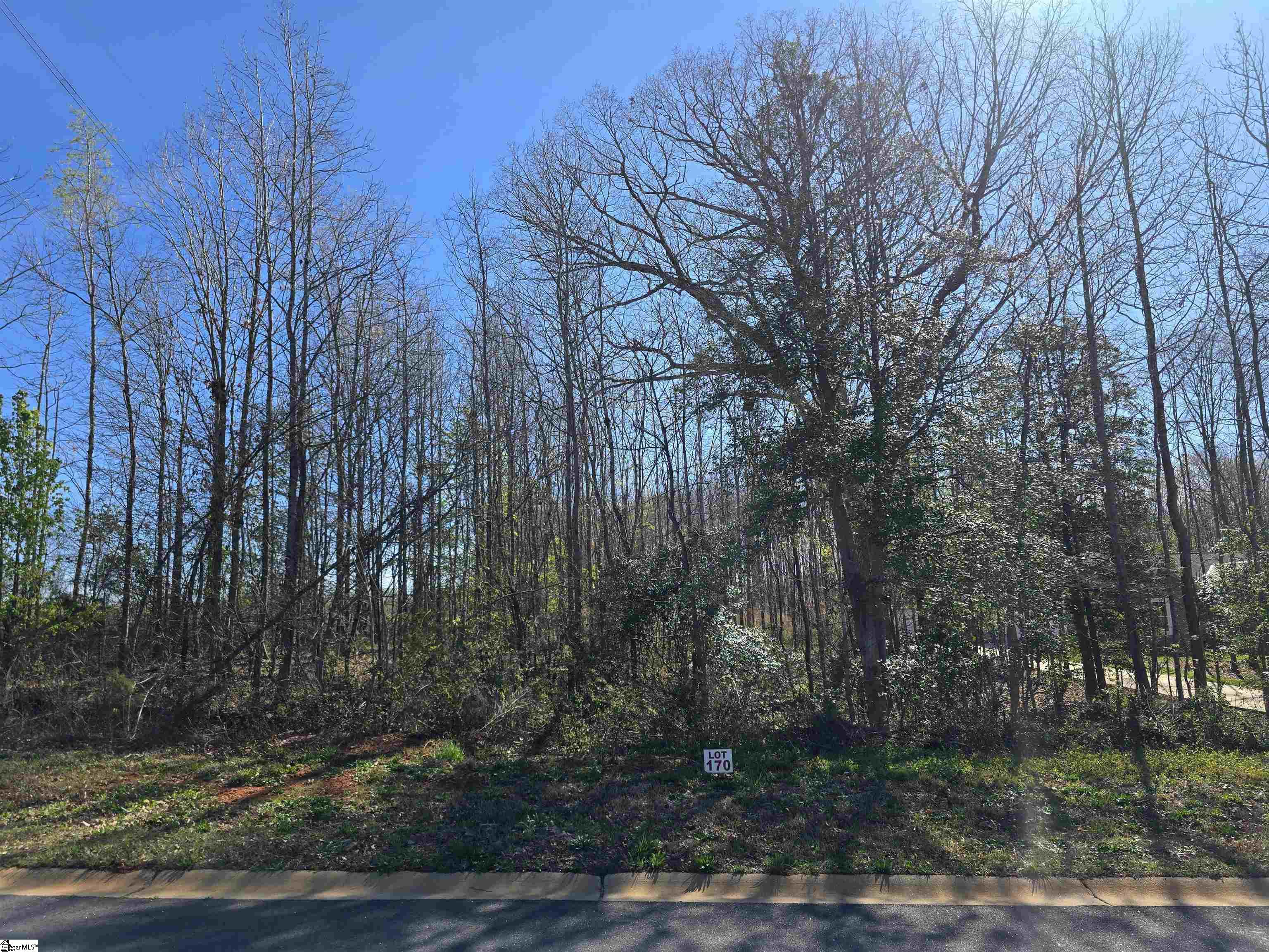 103 Lipizzaner Court Pelzer, SC 29669