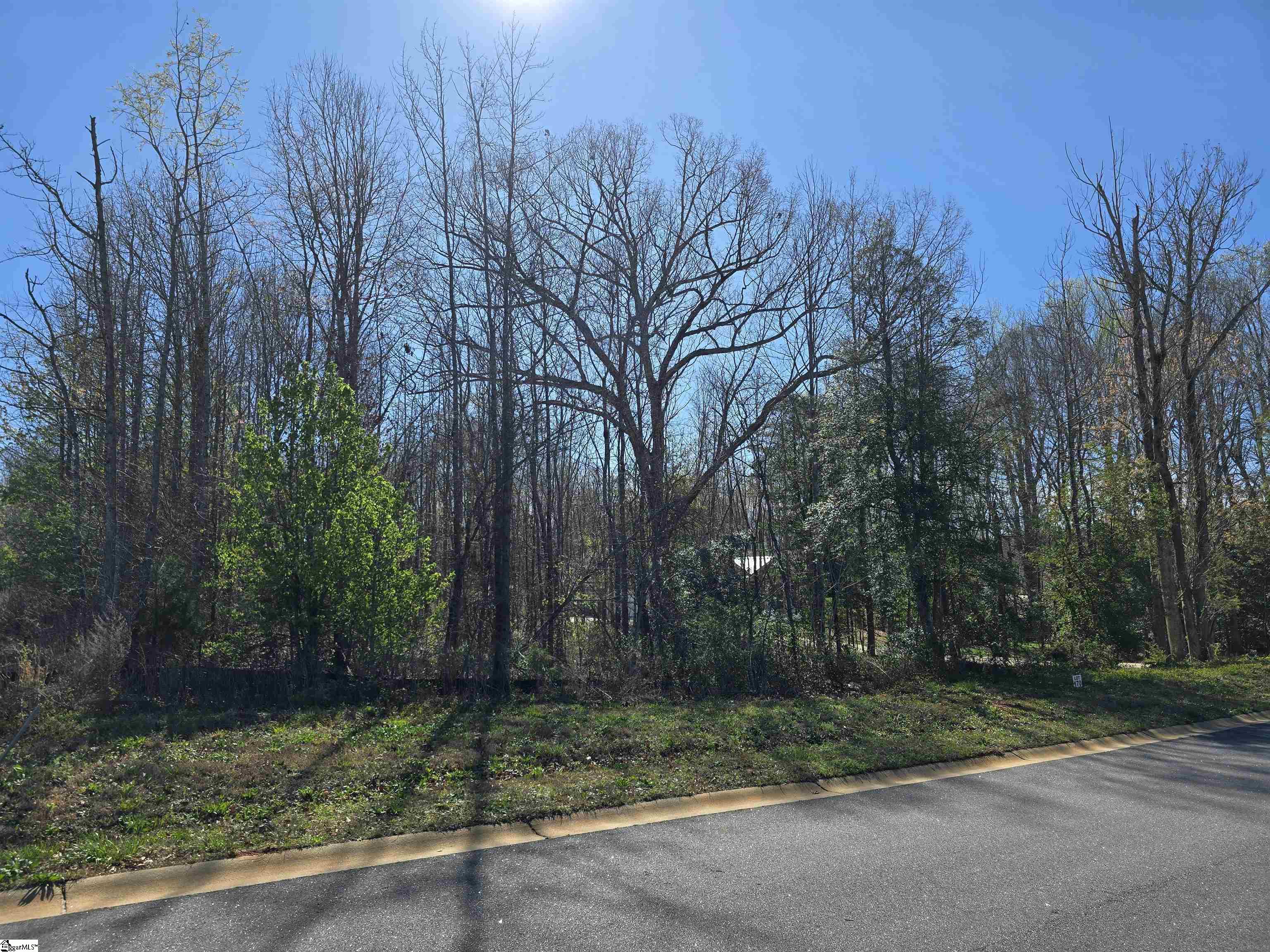 103 Lipizzaner Court Pelzer, SC 29669
