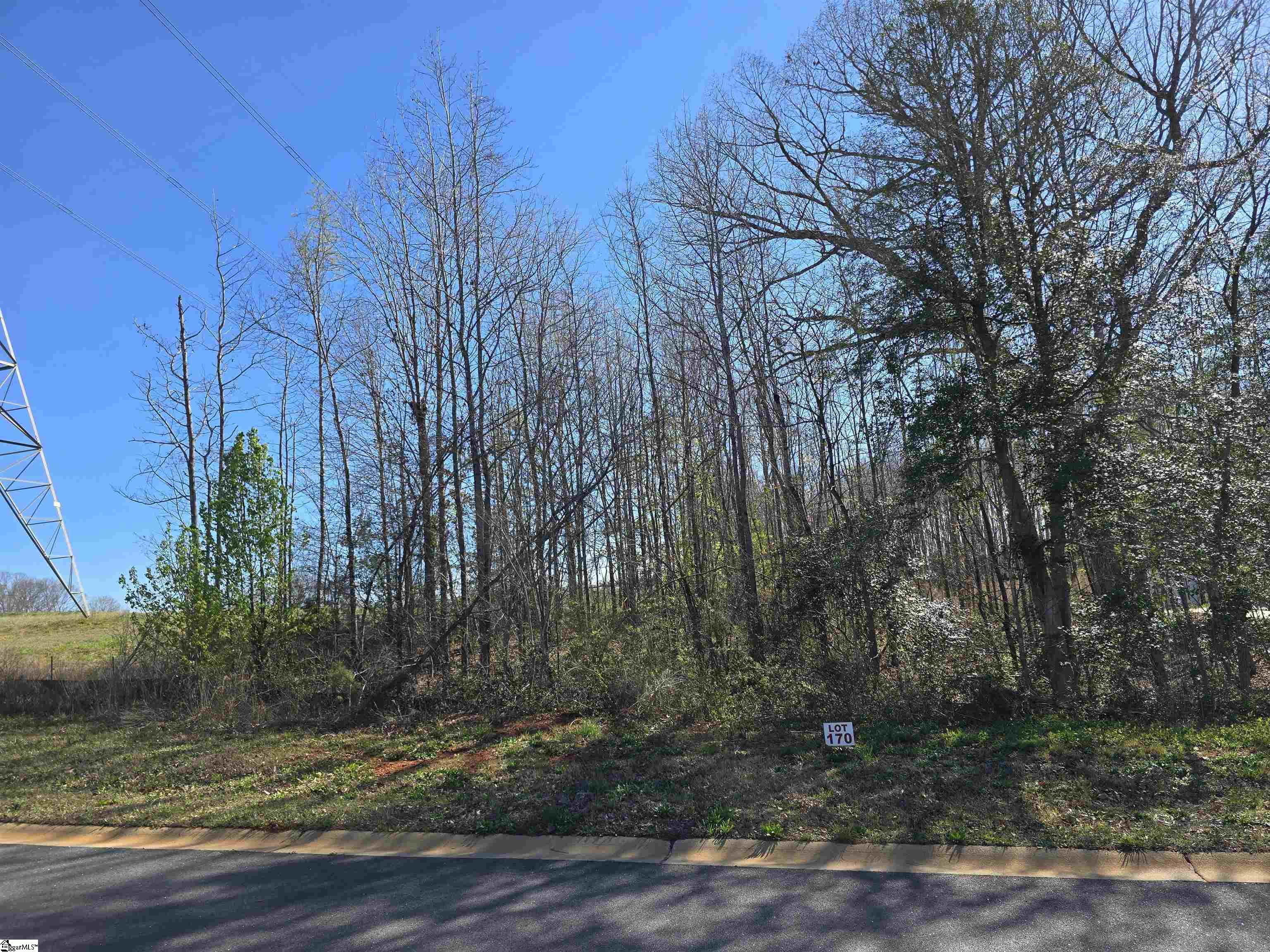 103 Lipizzaner Court Pelzer, SC 29669