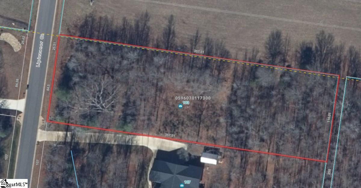 103 Lipizzaner Court Pelzer, SC 29669