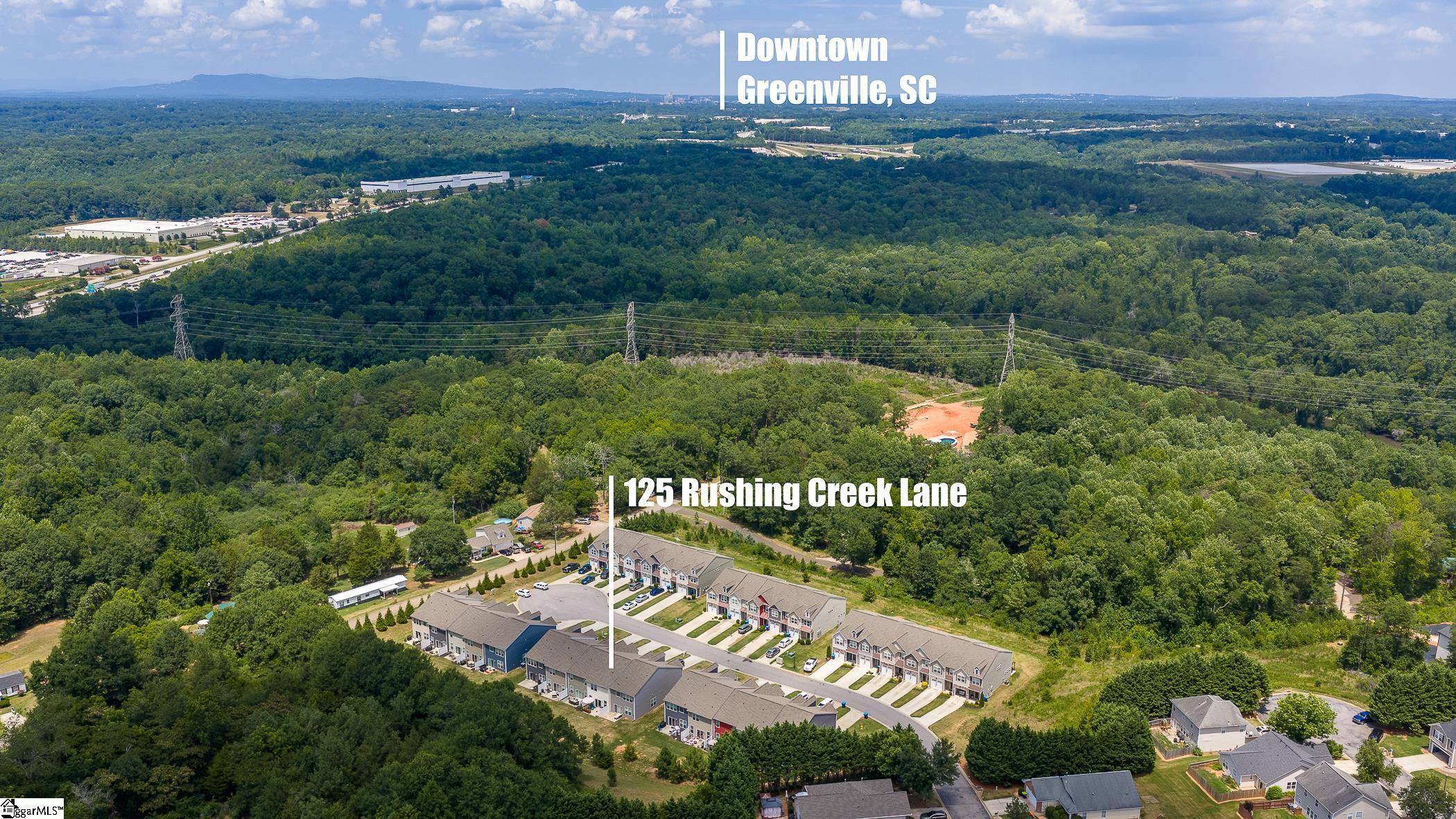 125 Rushing Creek Lane Piedmont, SC 29673
