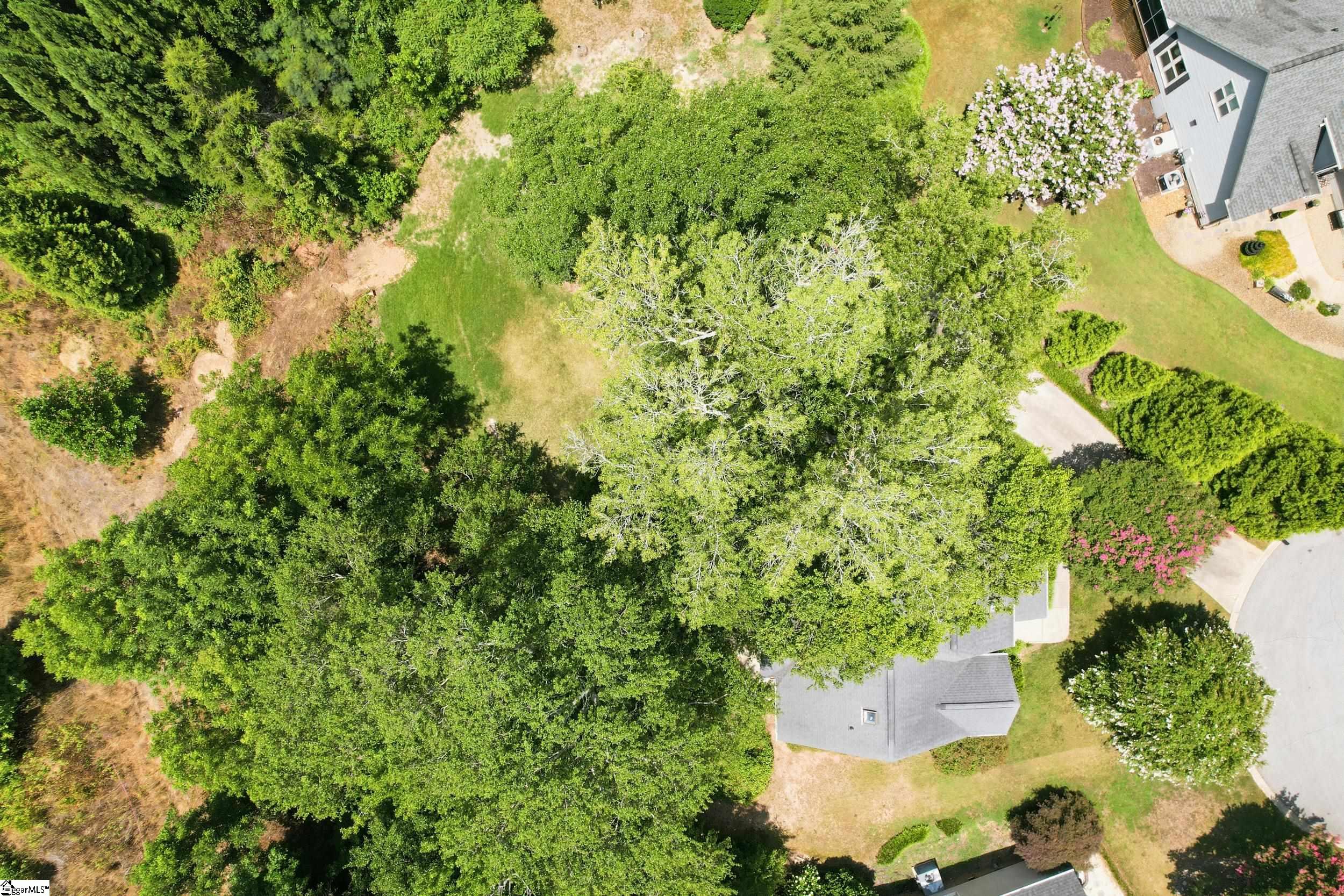 319 Wild Rice Drive Simpsonville, SC 29681
