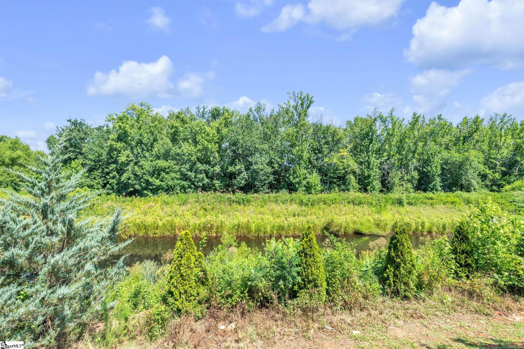 8 Belterra Drive Simpsonville, SC 29681