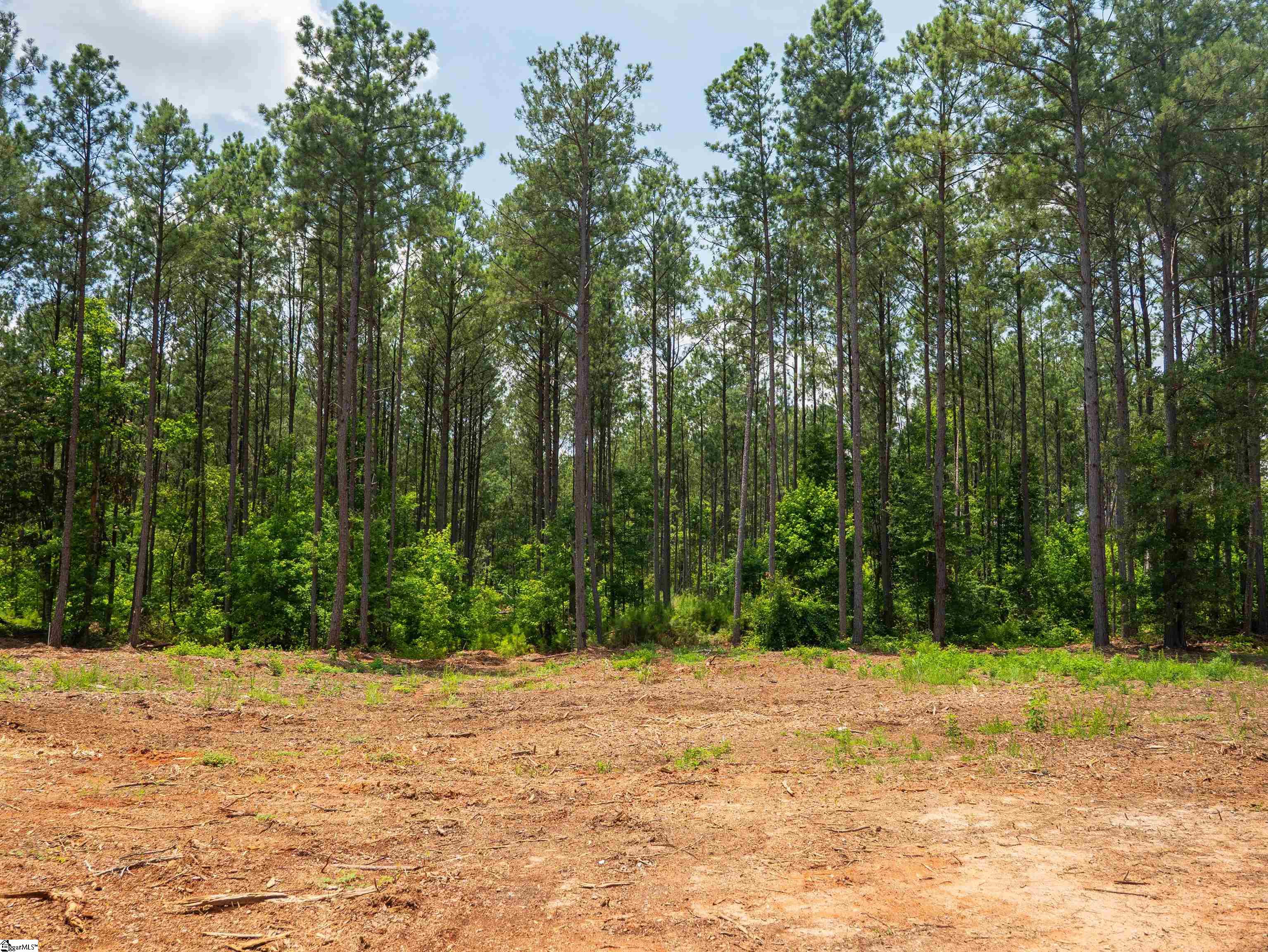 00 Cheek Road UNIT Lot 9 Gray Court, SC 29645