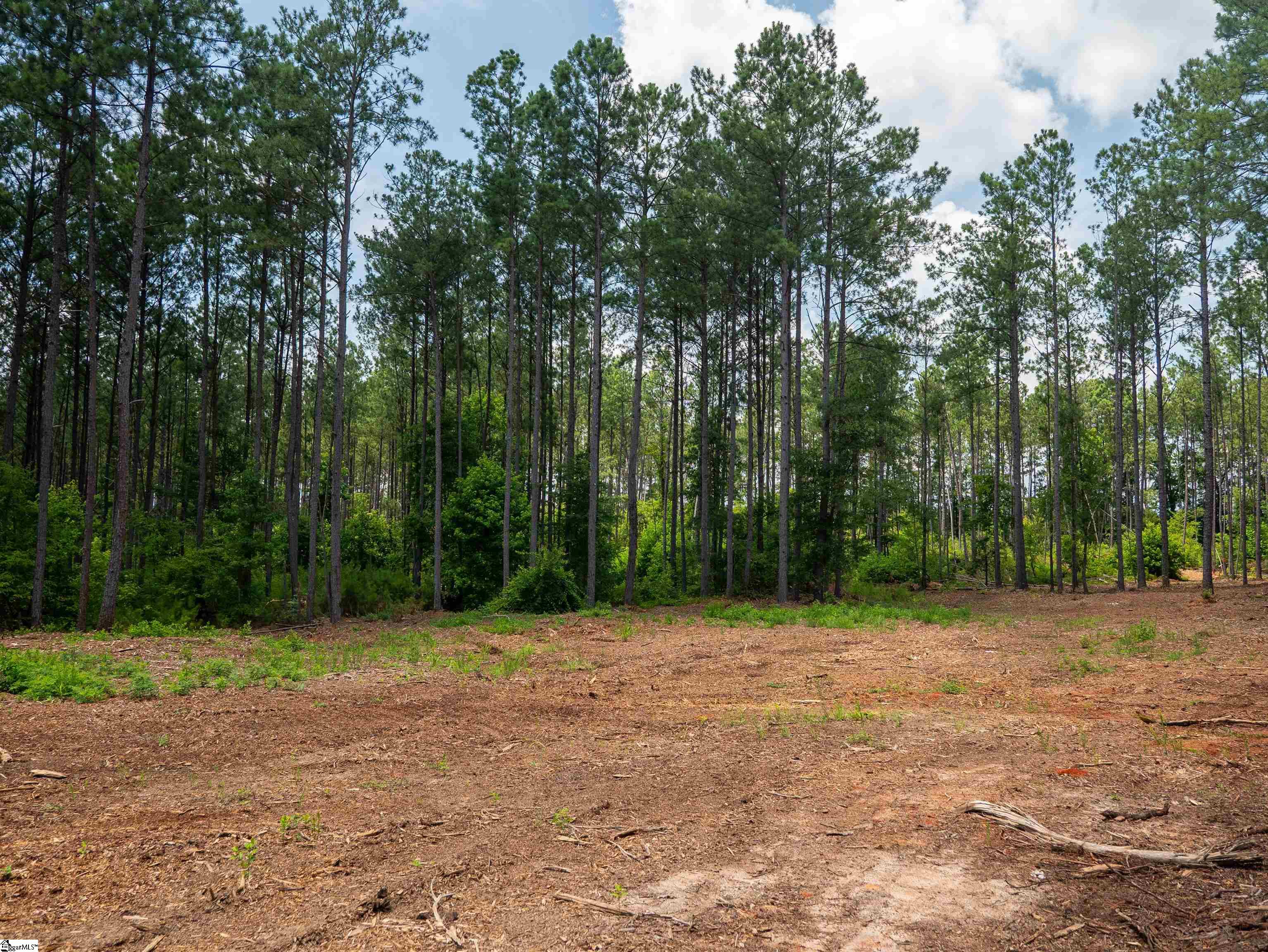 00 Cheek Road UNIT Lot 9 Gray Court, SC 29645