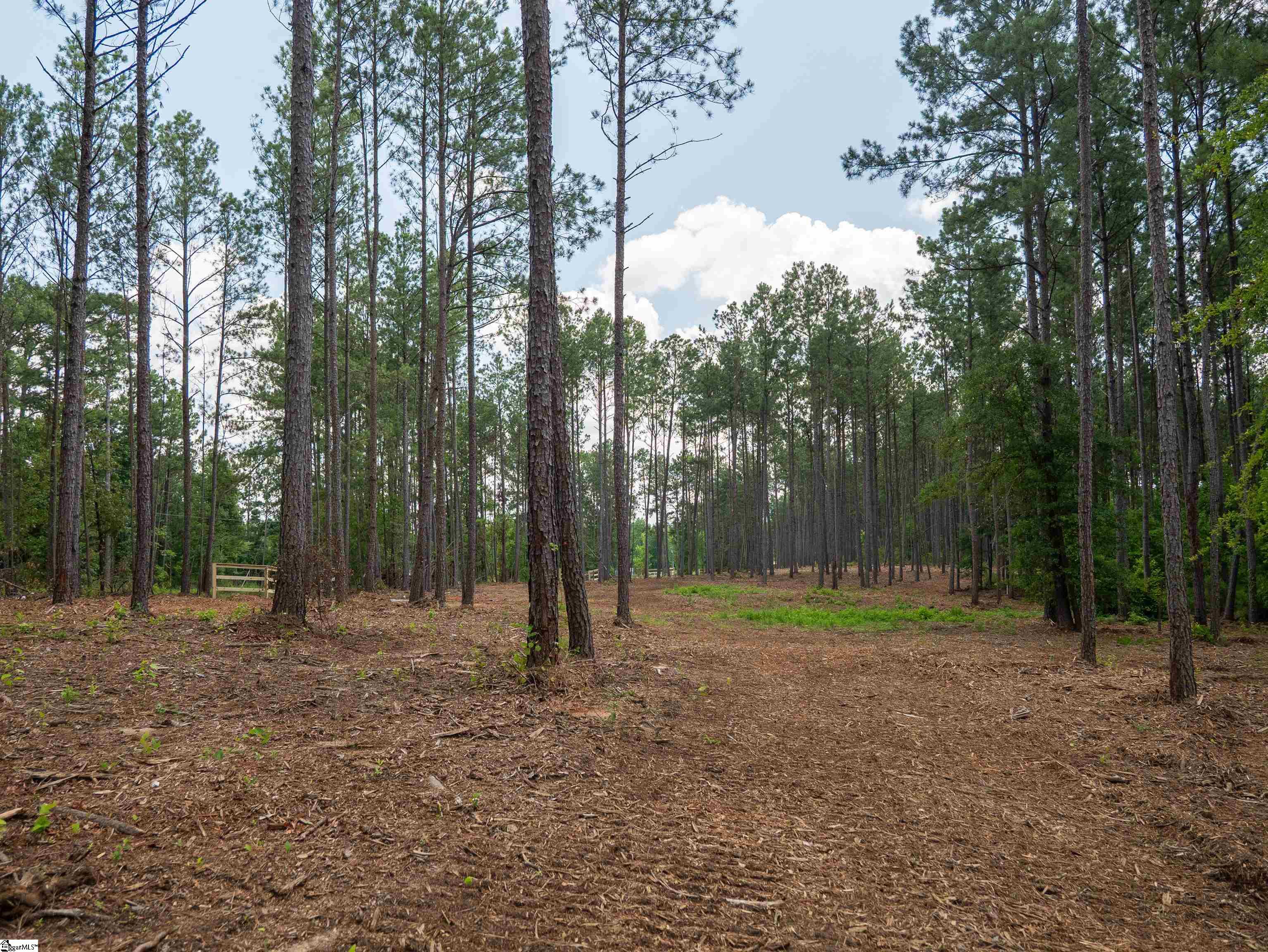 00 Cheek Road UNIT Lot 9 Gray Court, SC 29645