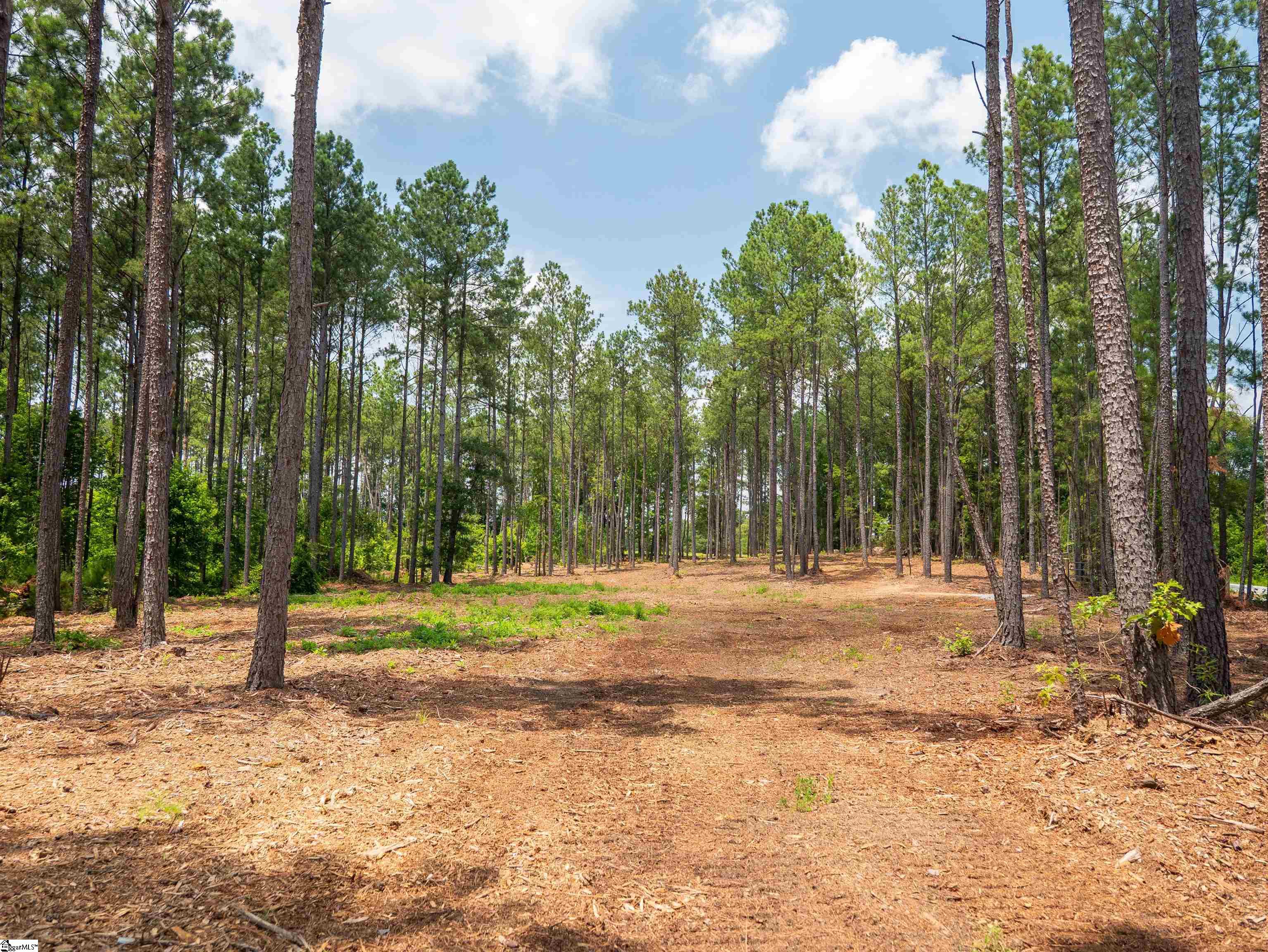 00 Cheek Road UNIT Lot 9 Gray Court, SC 29645