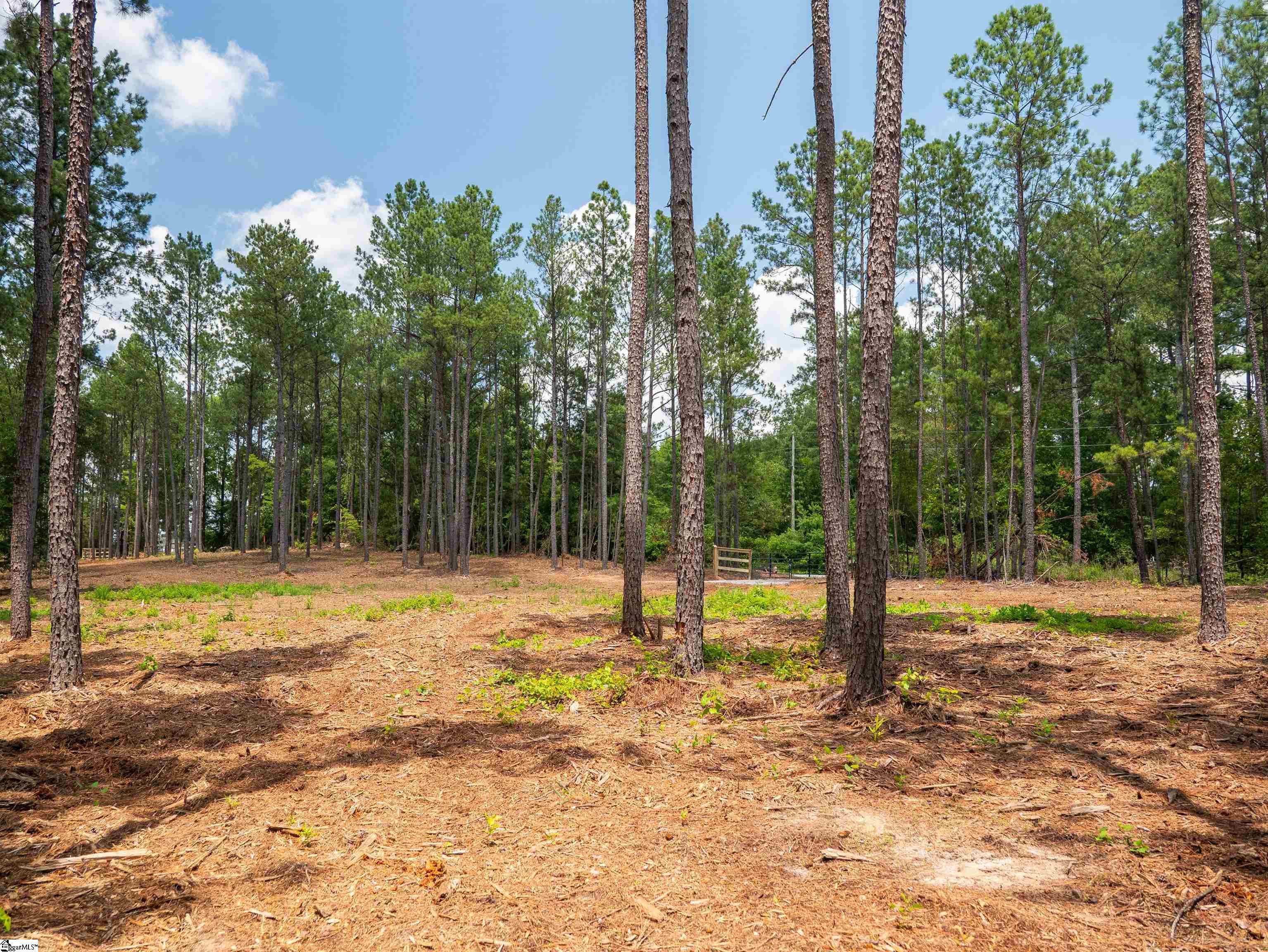 00 Cheek Road UNIT Lot 9 Gray Court, SC 29645