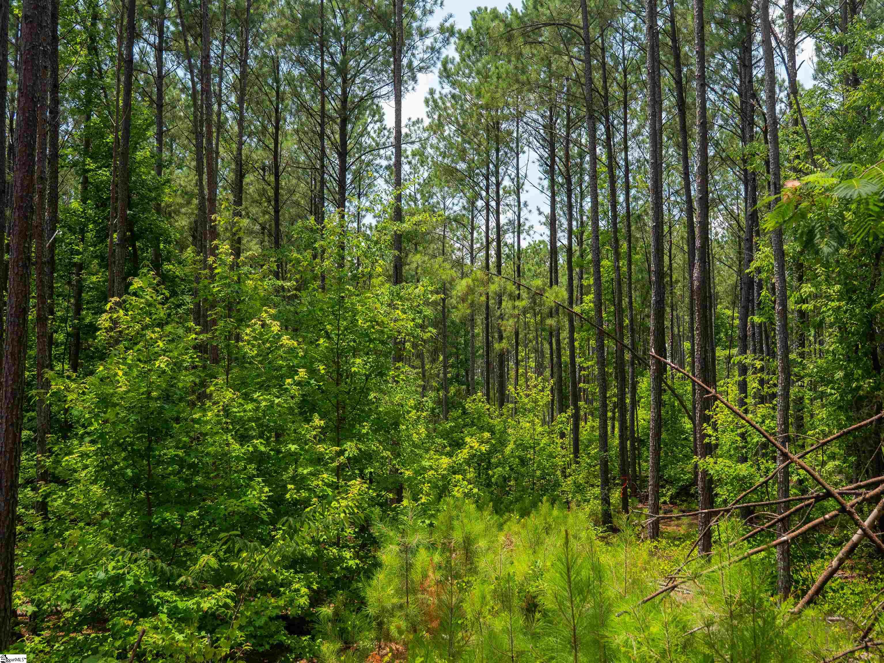 00 Cheek Road UNIT Lot 9 Gray Court, SC 29645