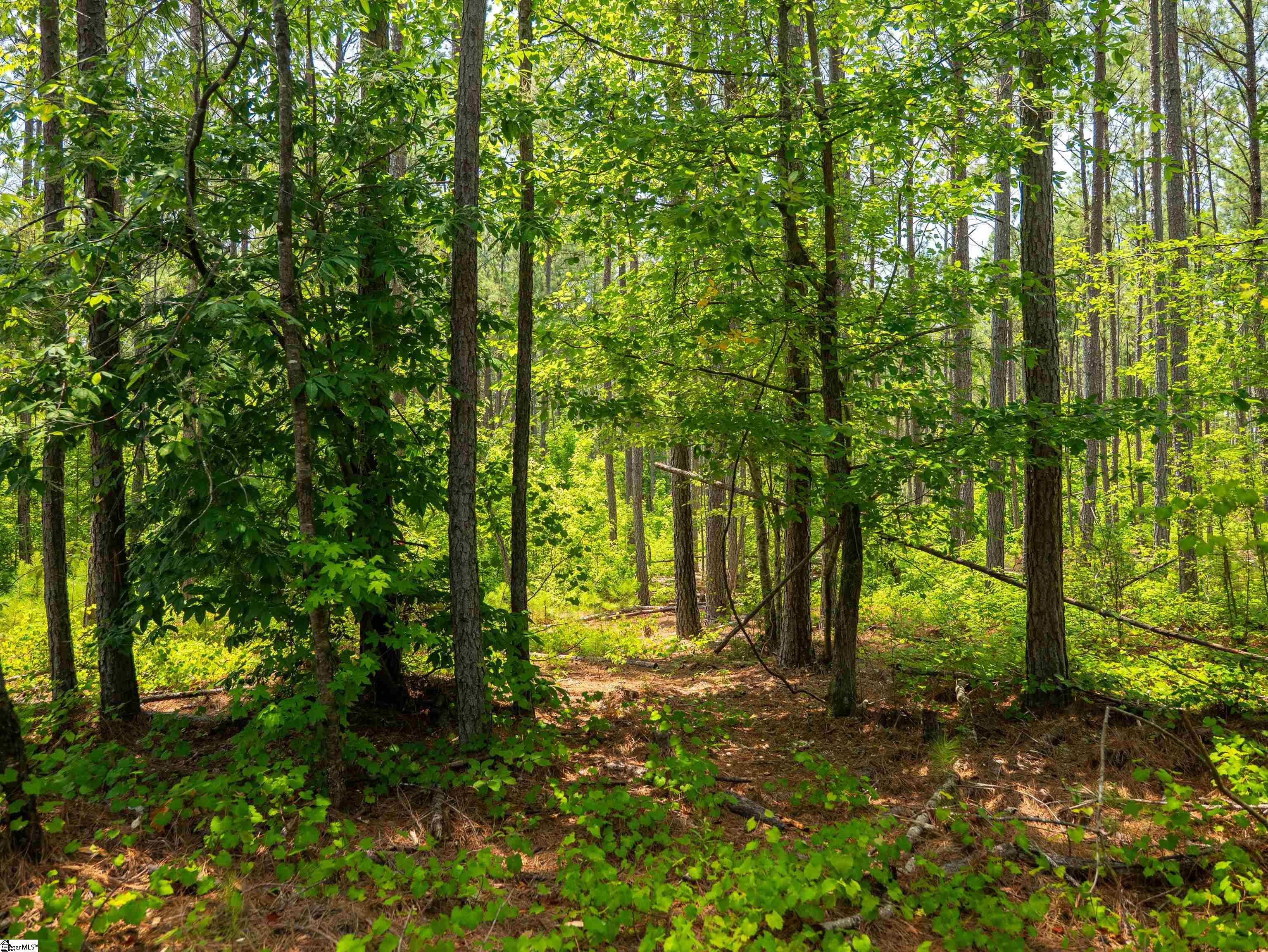 00 Cheek Road UNIT Lot 9 Gray Court, SC 29645