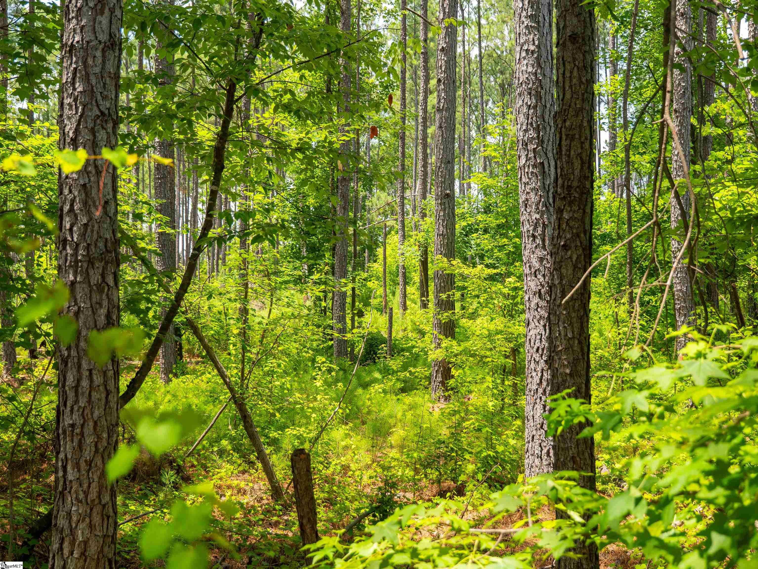 00 Cheek Road UNIT Lot 9 Gray Court, SC 29645