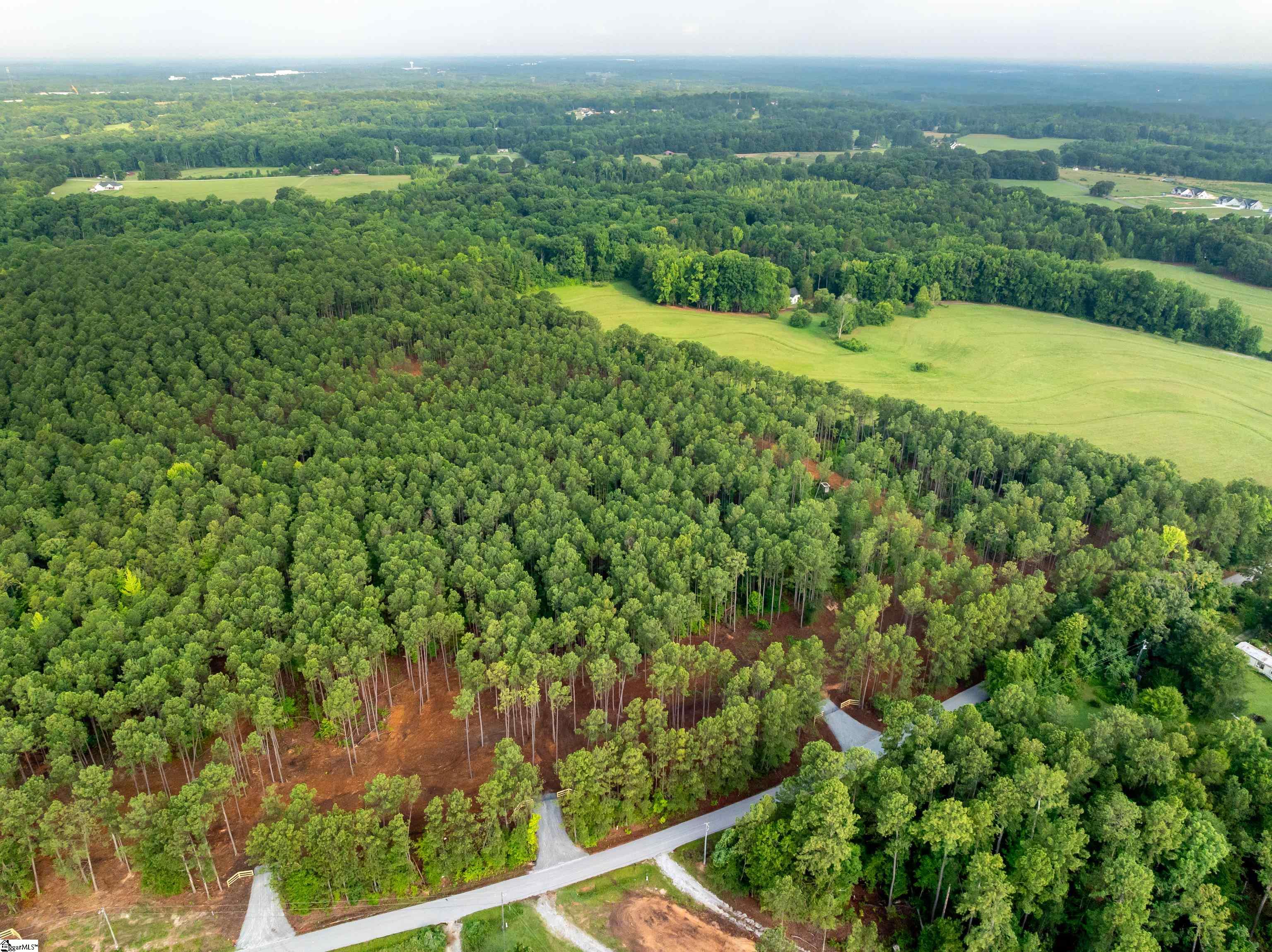 00 Cheek Road UNIT Lot 9 Gray Court, SC 29645