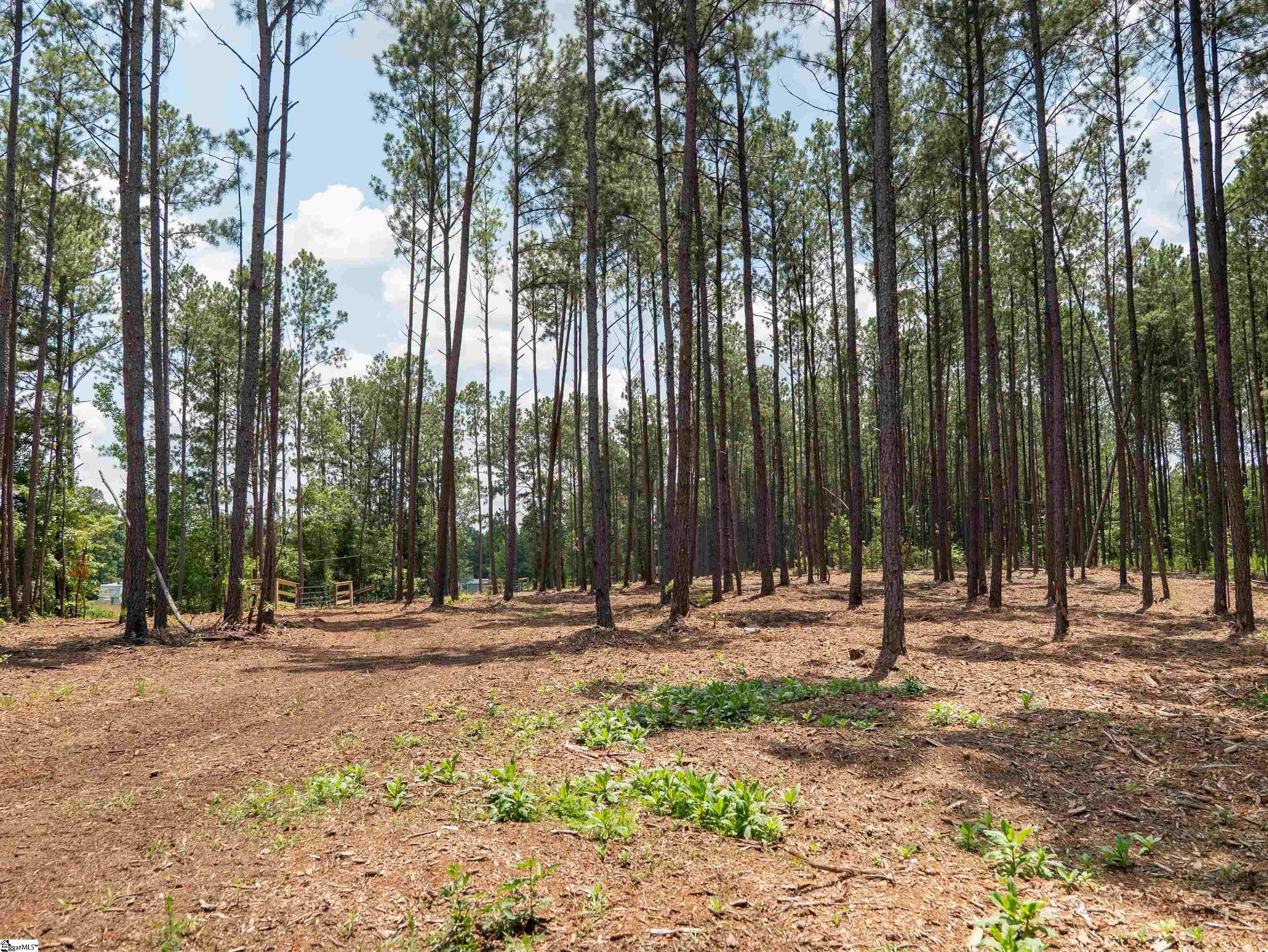 00 Cheek Road UNIT Lot 10 Gray Court, SC 29645