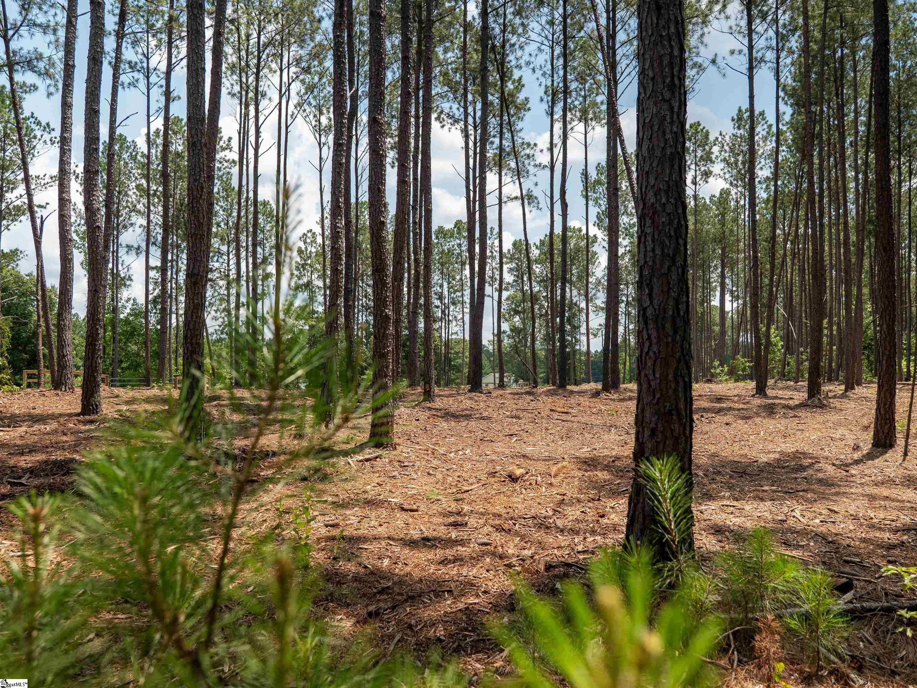 00 Cheek Road UNIT Lot 10 Gray Court, SC 29645