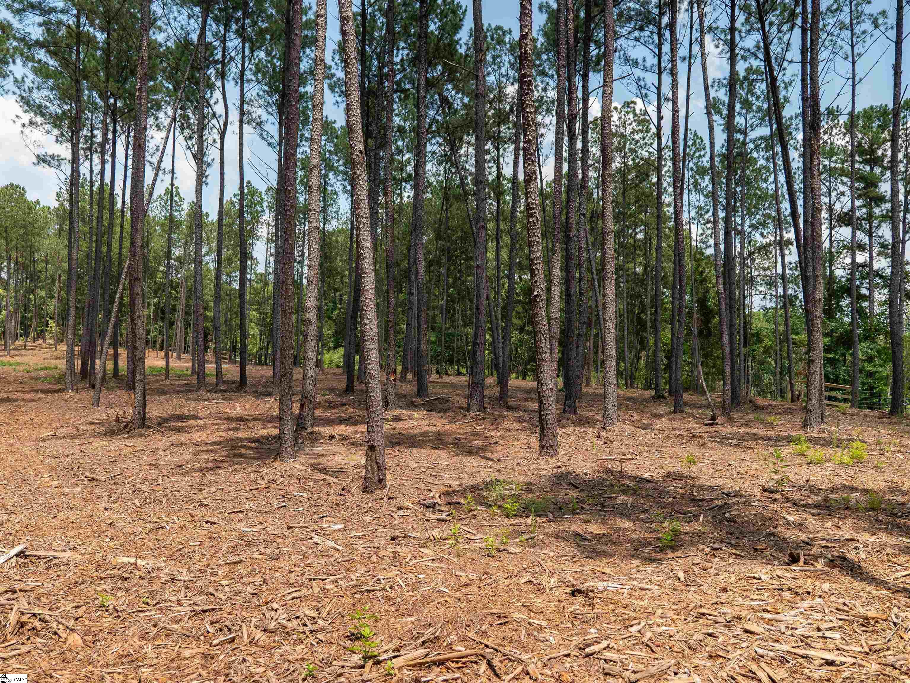 00 Cheek Road UNIT Lot 10 Gray Court, SC 29645