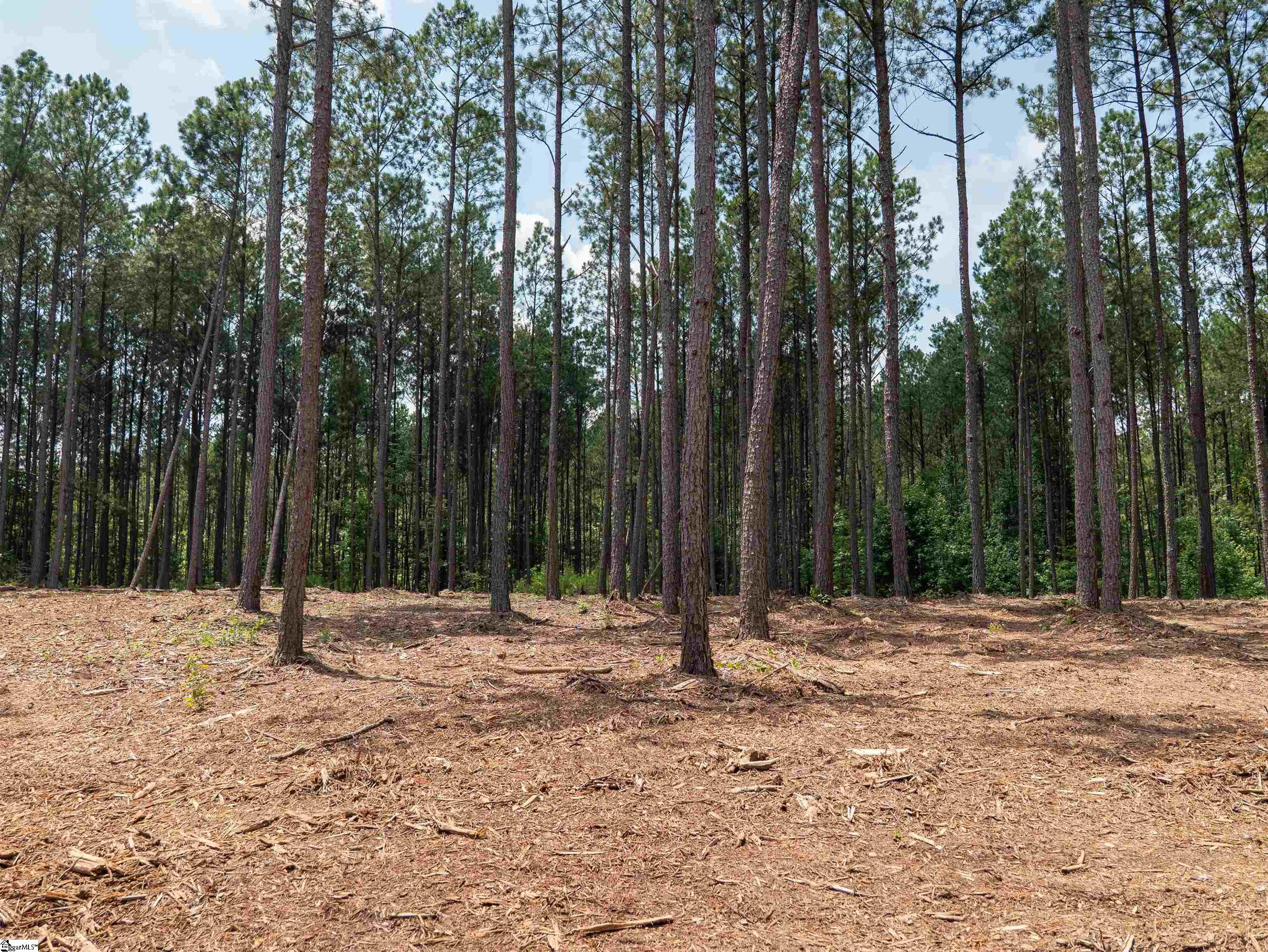 00 Cheek Road UNIT Lot 10 Gray Court, SC 29645