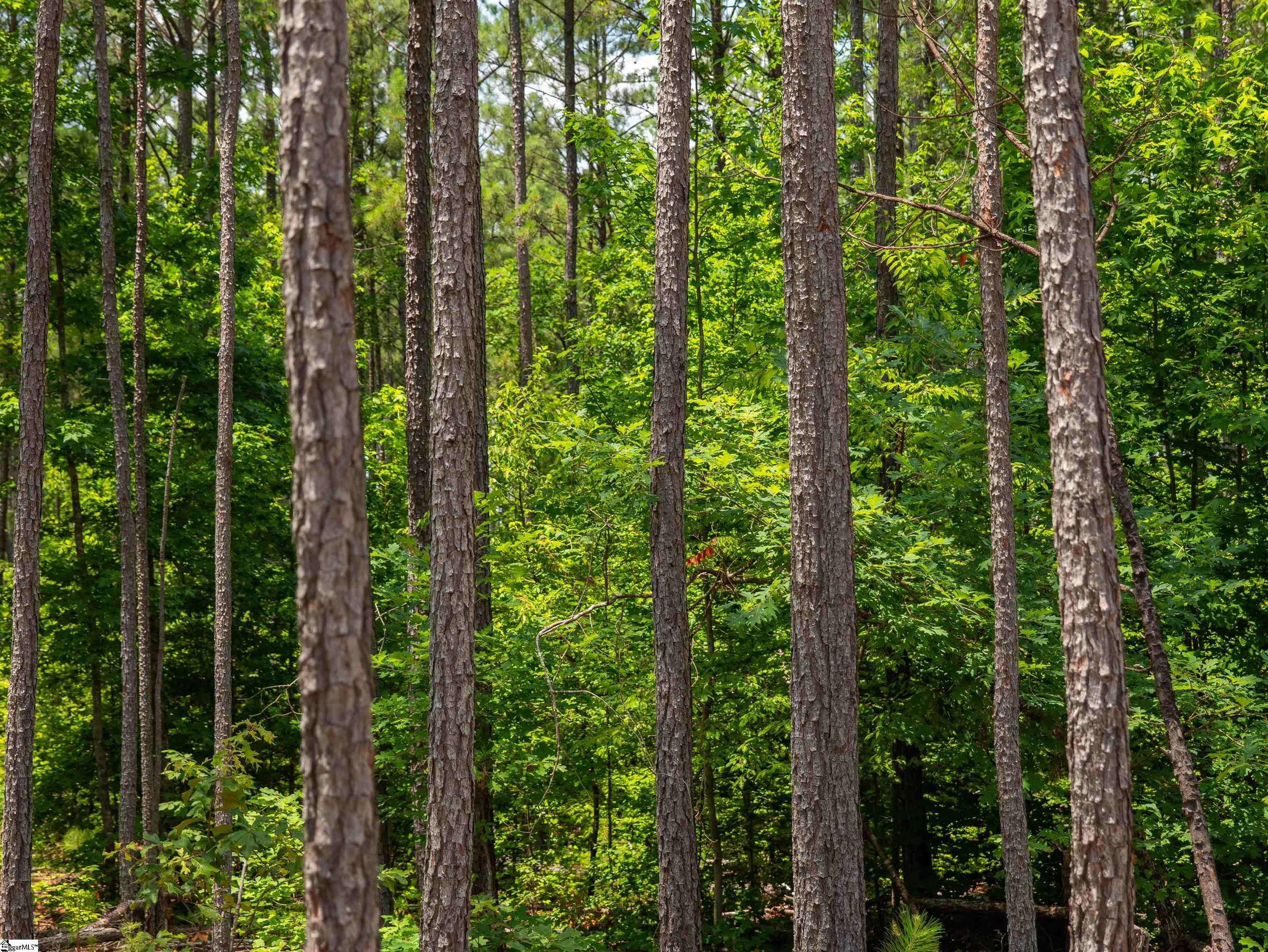 00 Cheek Road UNIT Lot 10 Gray Court, SC 29645