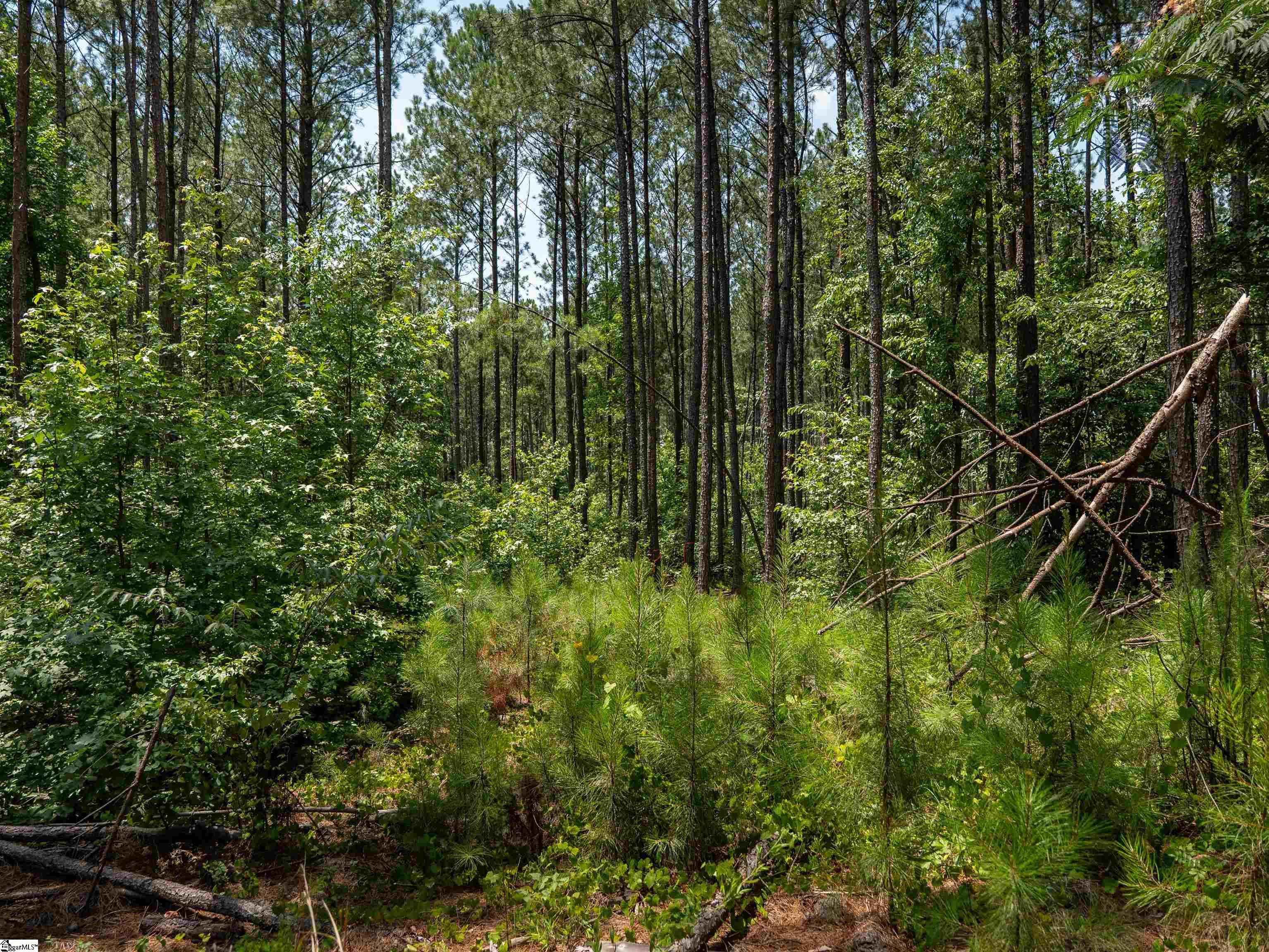 00 Cheek Road UNIT Lot 10 Gray Court, SC 29645