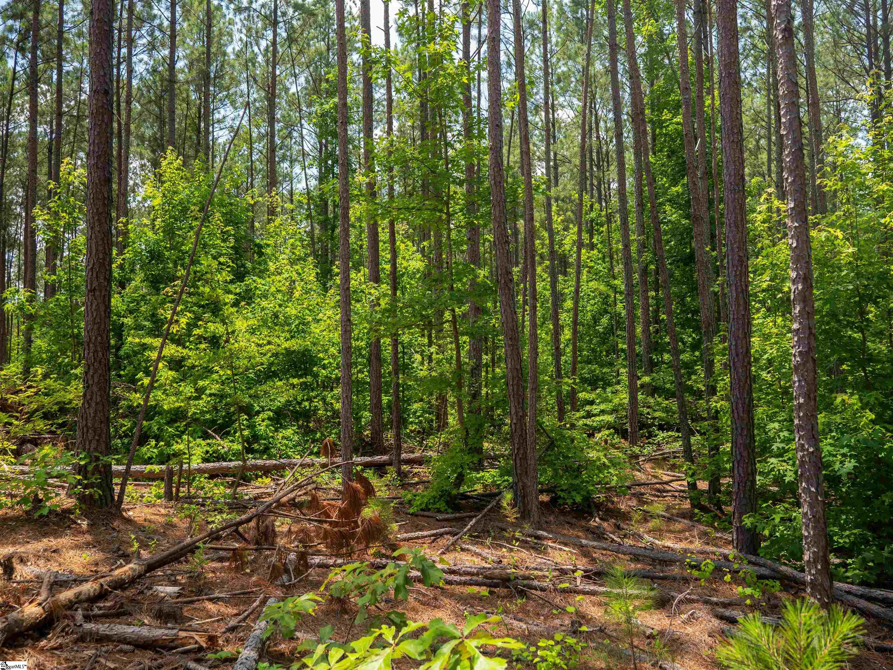 00 Cheek Road UNIT Lot 10 Gray Court, SC 29645