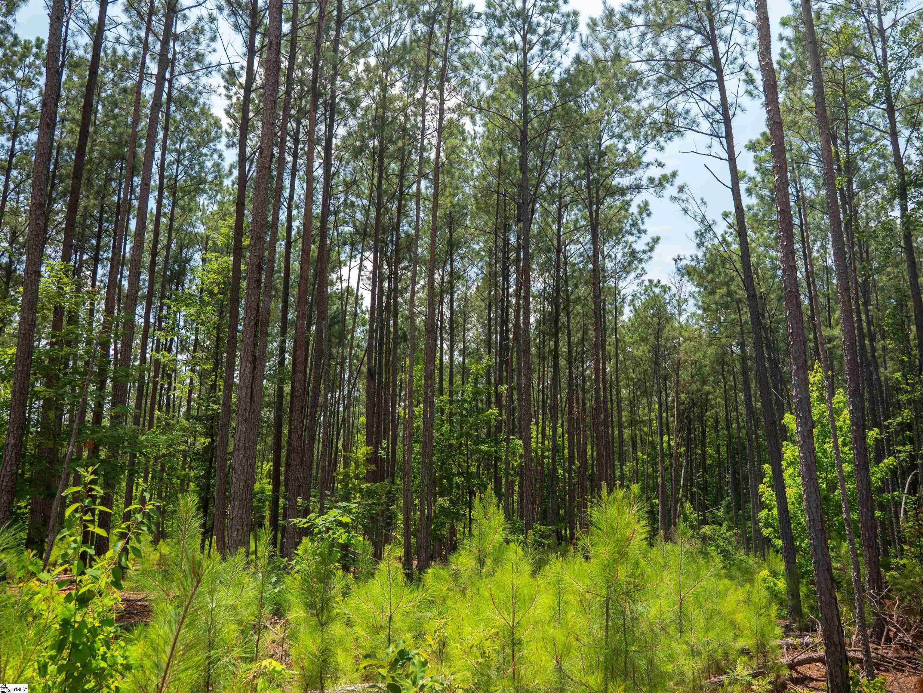 00 Cheek Road UNIT Lot 10 Gray Court, SC 29645