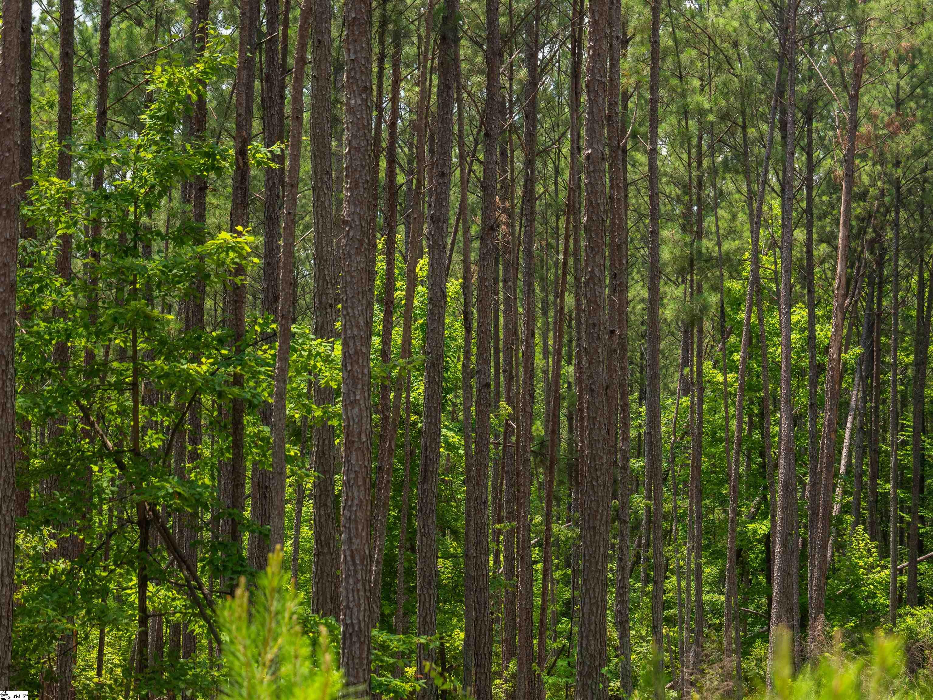 00 Cheek Road UNIT Lot 10 Gray Court, SC 29645