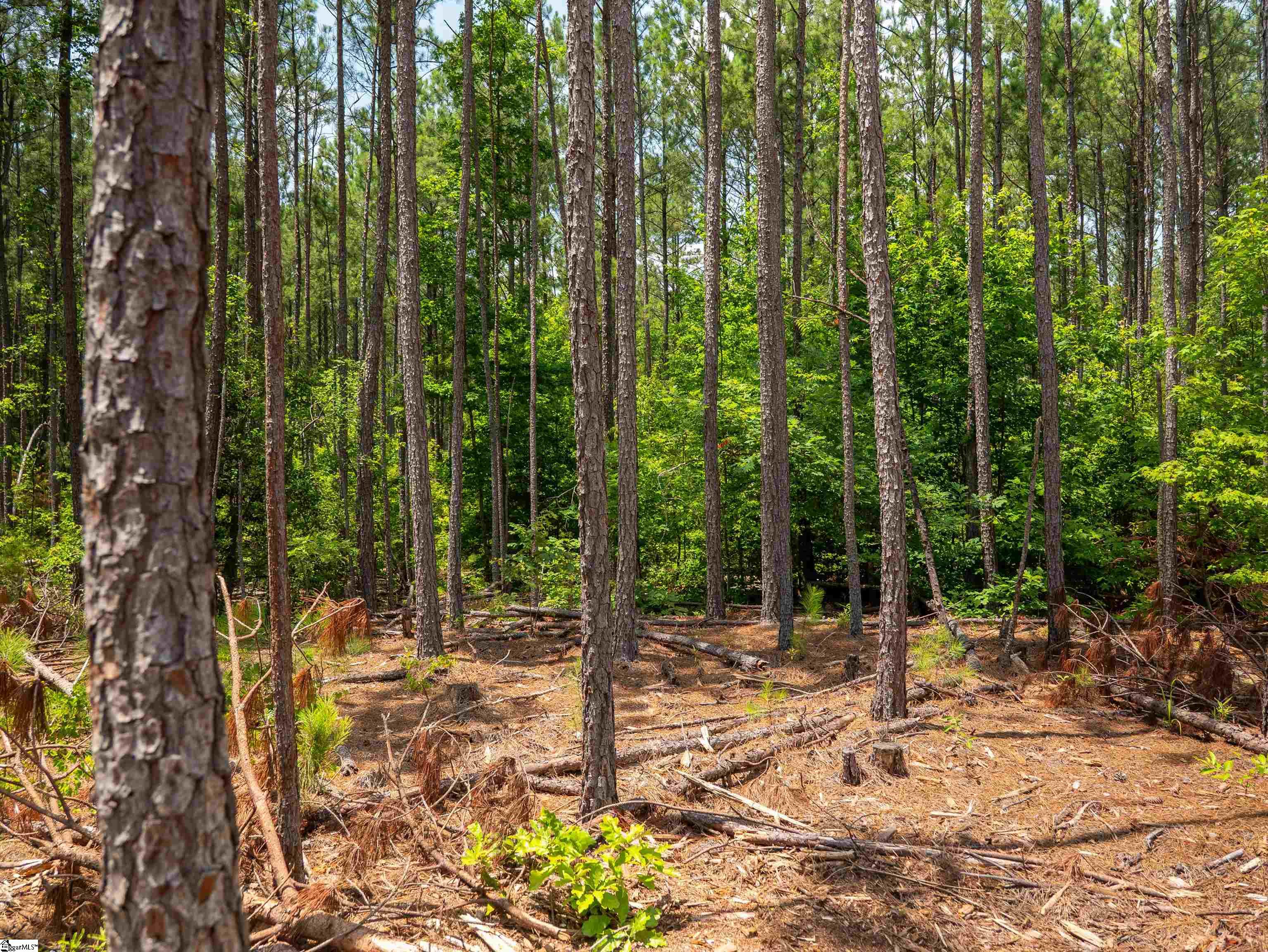 00 Cheek Road UNIT Lot 10 Gray Court, SC 29645
