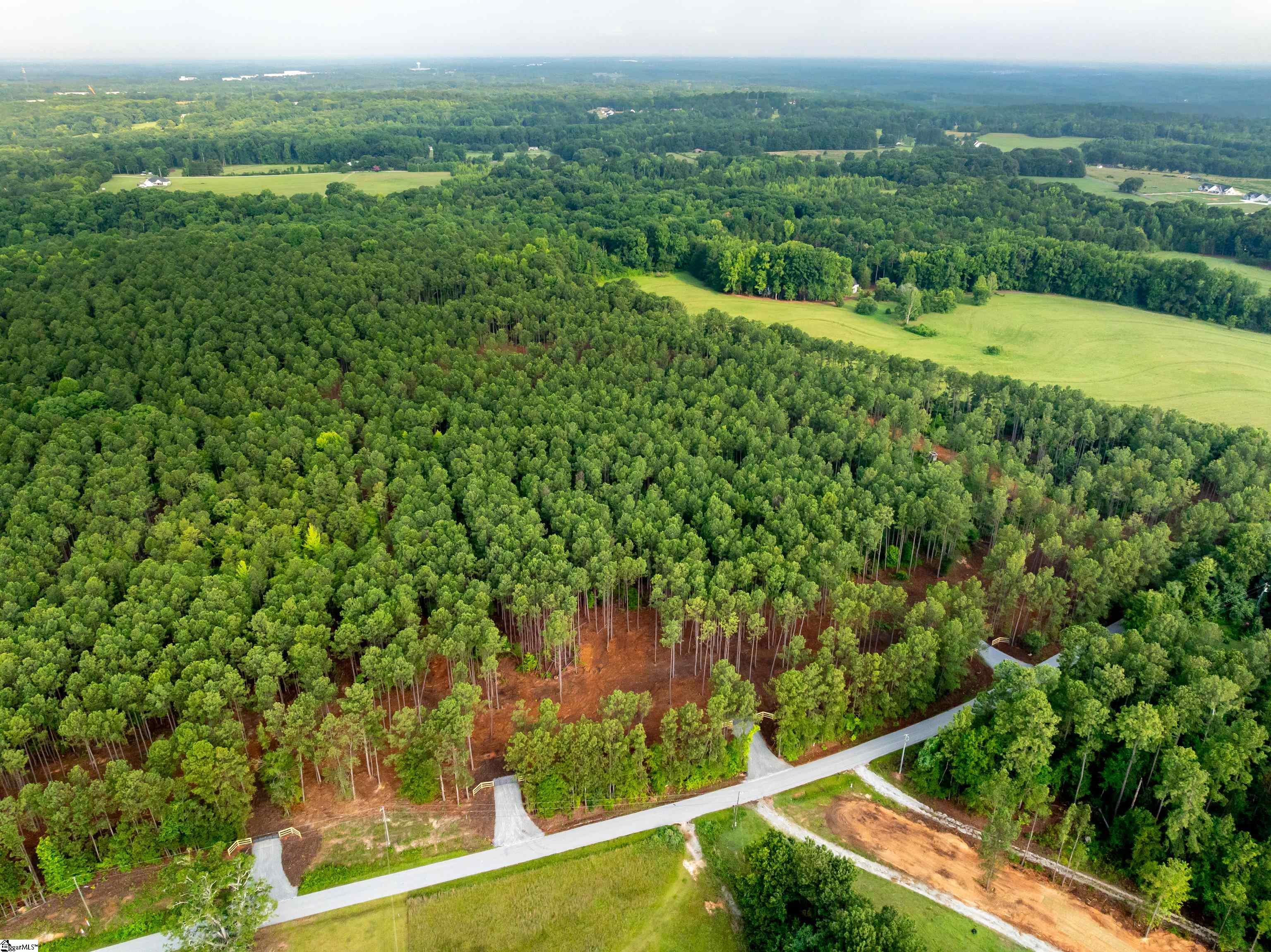 00 Cheek Road UNIT Lot 10 Gray Court, SC 29645