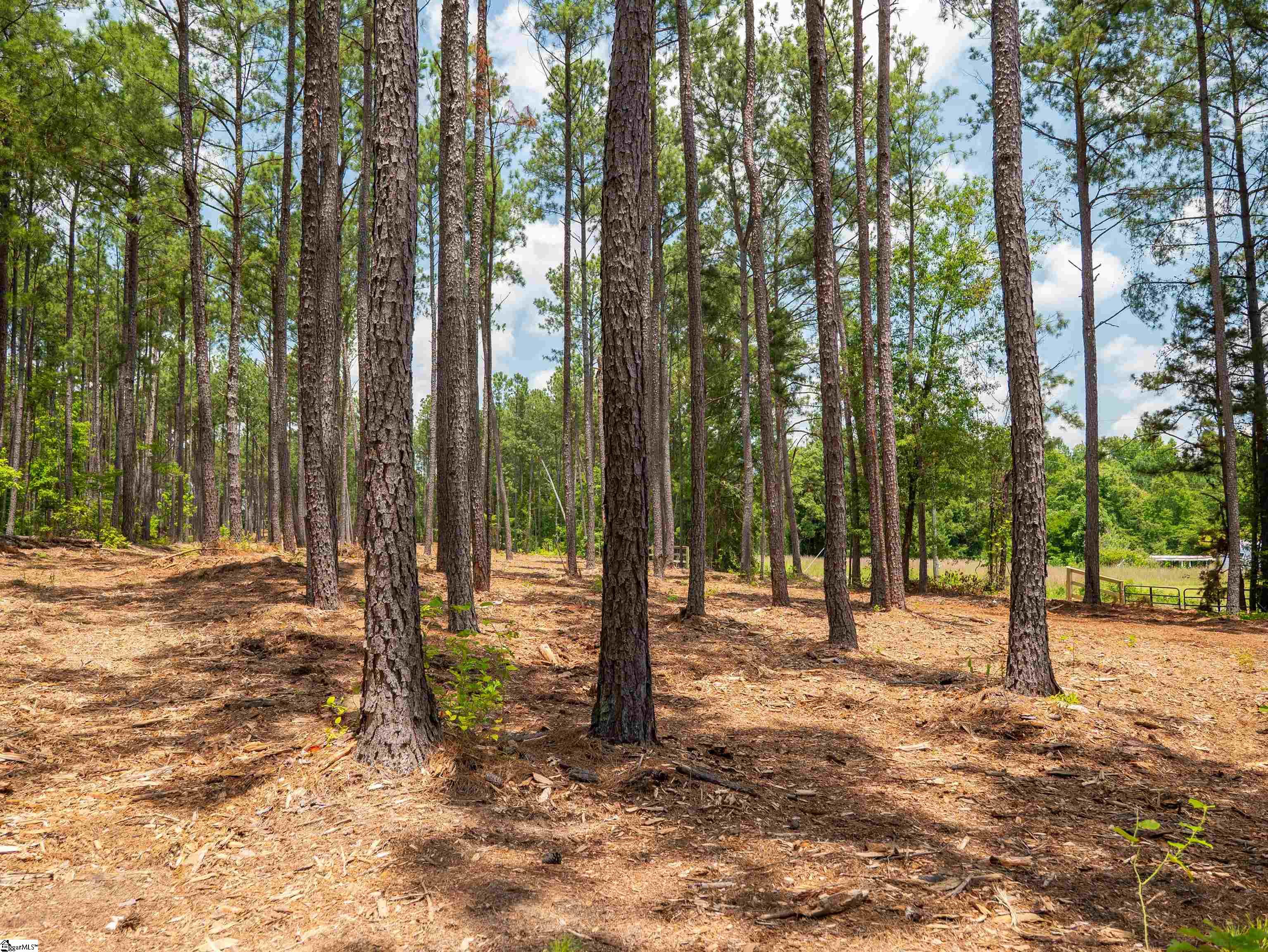 00 Cheek Road UNIT Lot 12 Gray Court, SC 29645