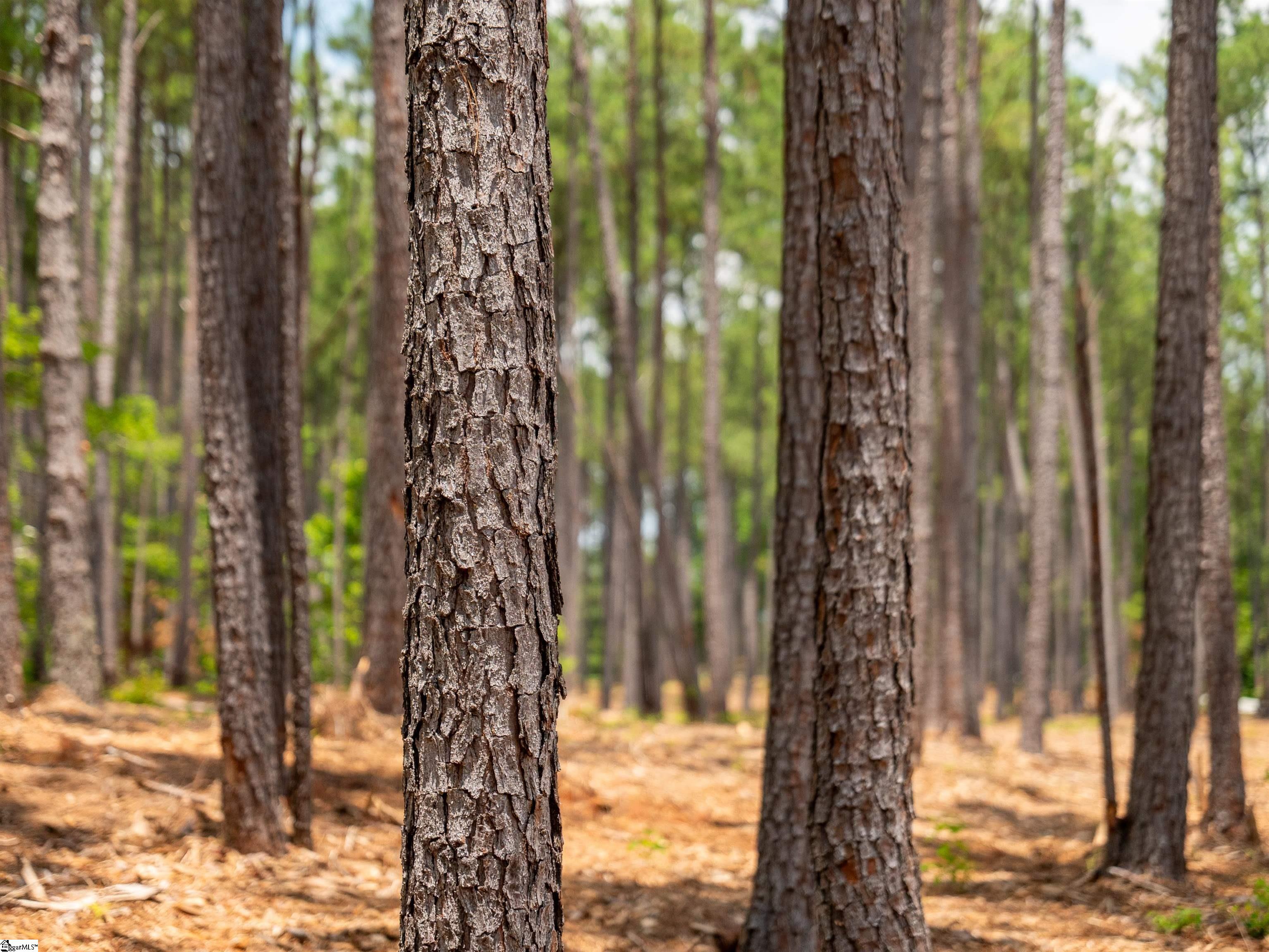00 Cheek Road UNIT Lot 12 Gray Court, SC 29645