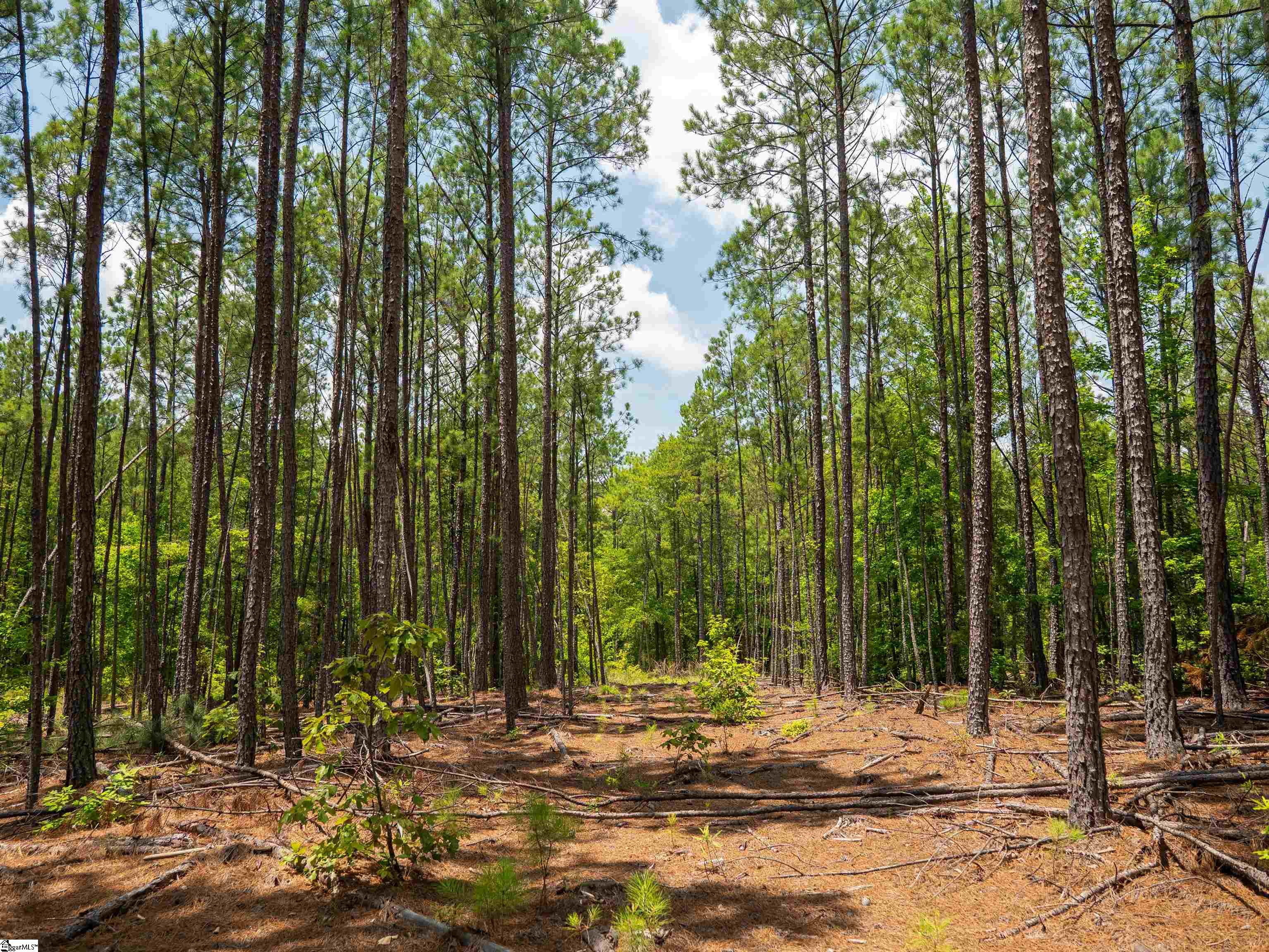 00 Cheek Road UNIT Lot 12 Gray Court, SC 29645
