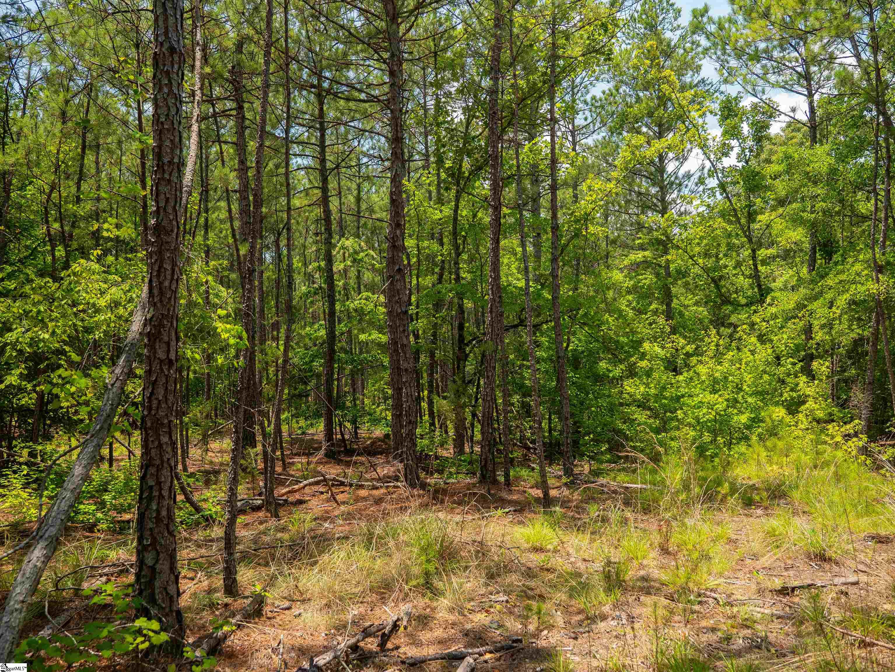 00 Cheek Road UNIT Lot 12 Gray Court, SC 29645