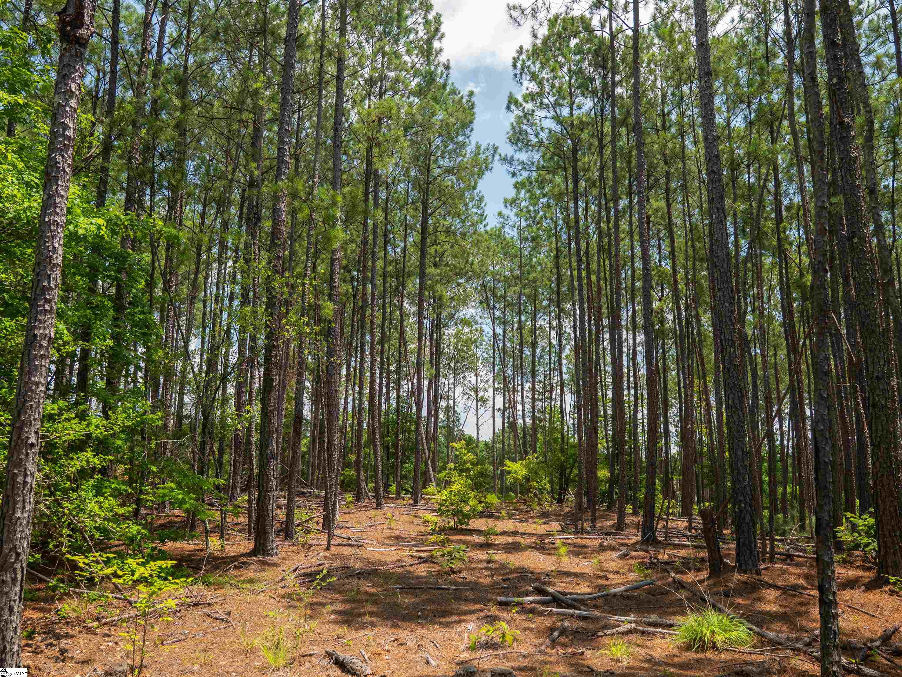 00 Cheek Road UNIT Lot 12 Gray Court, SC 29645